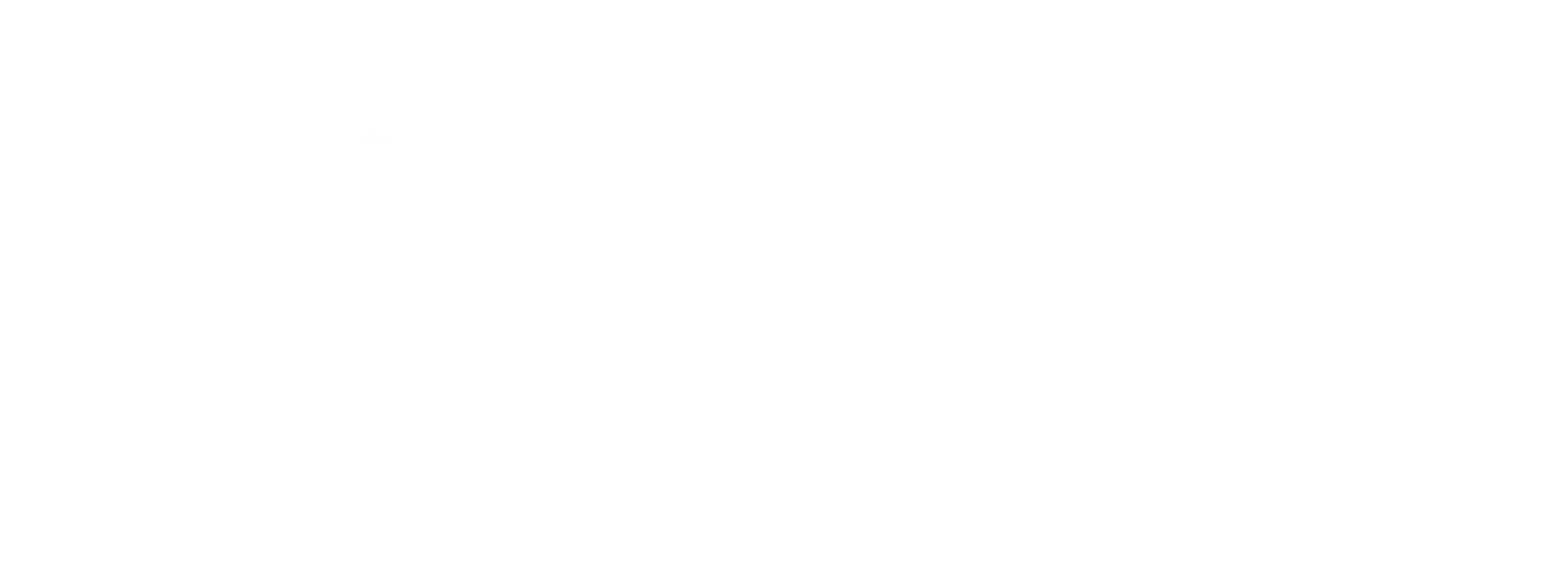 환상의 빛