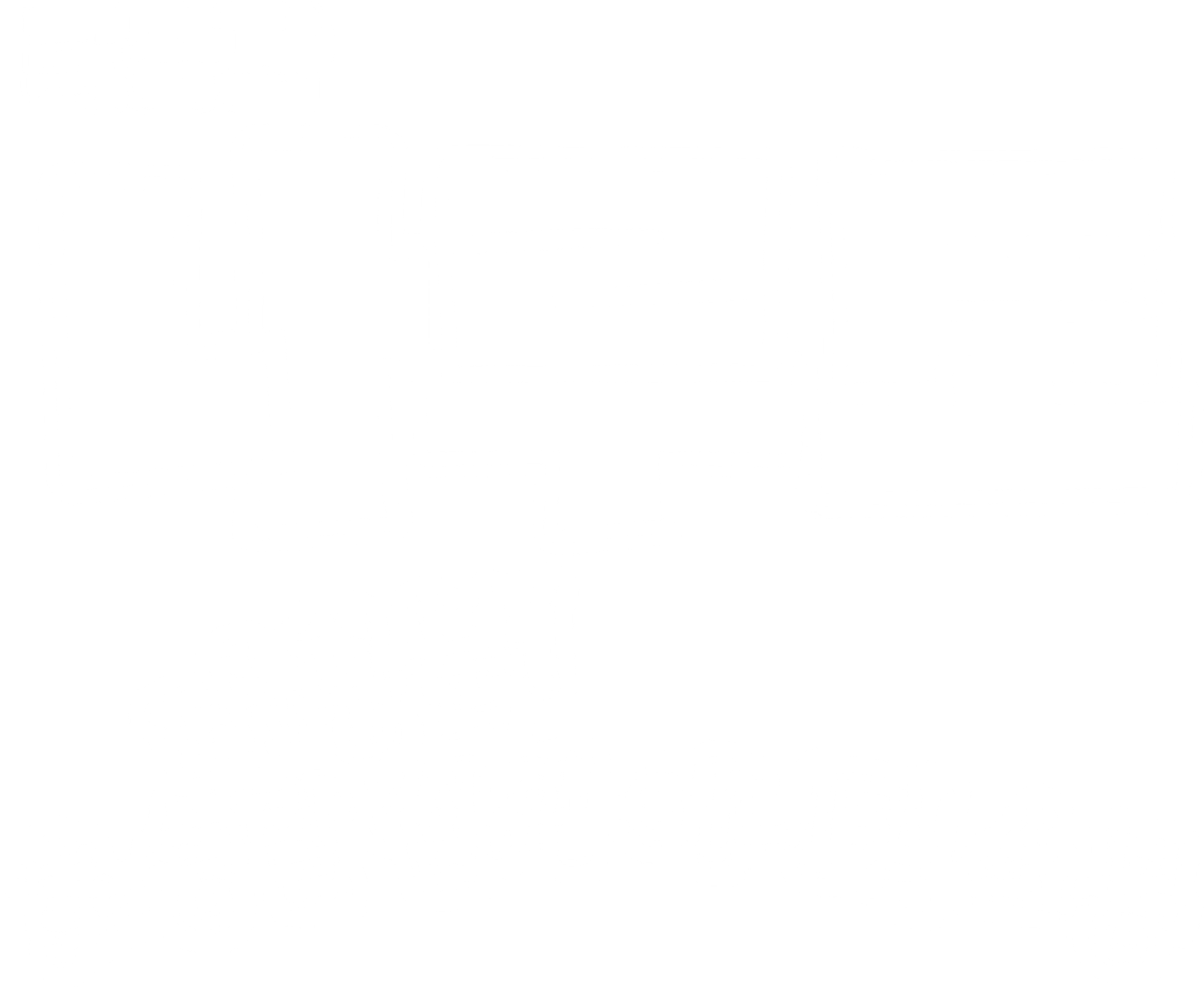 나루토 - 대흥분! 초승달 섬의 애니멀 소동