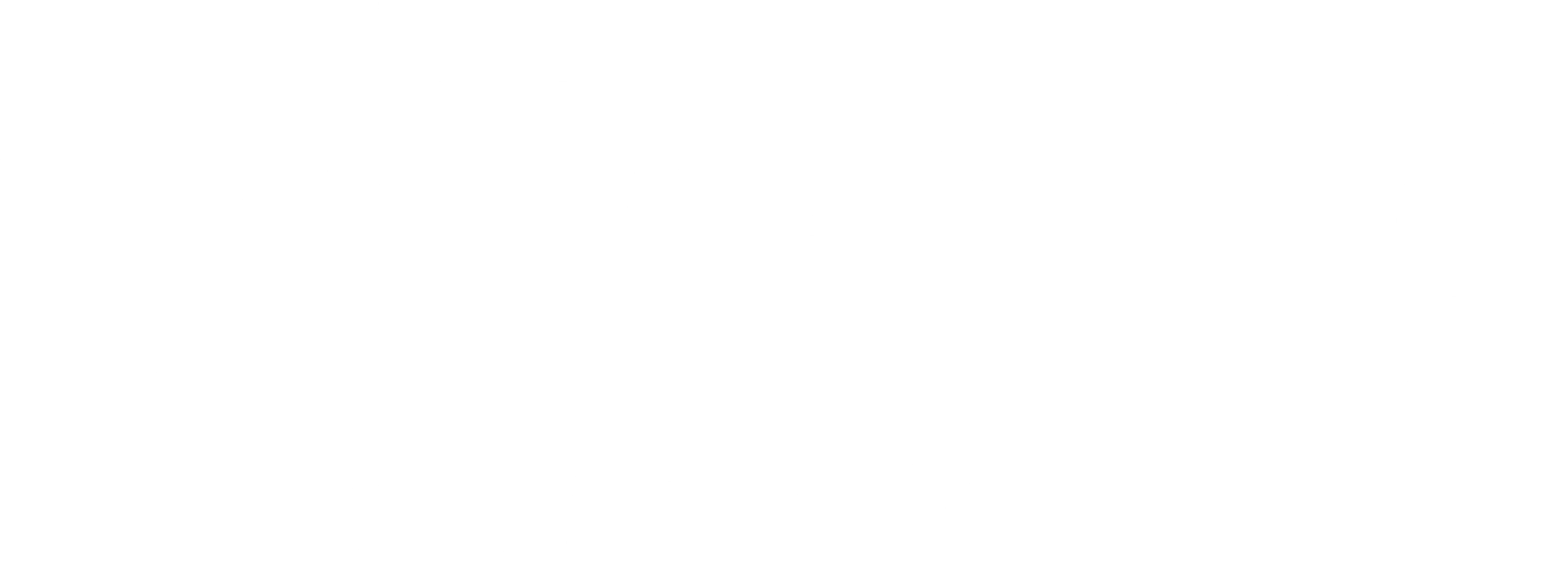 앵그리 버드 2: 독수리 왕국의 침공