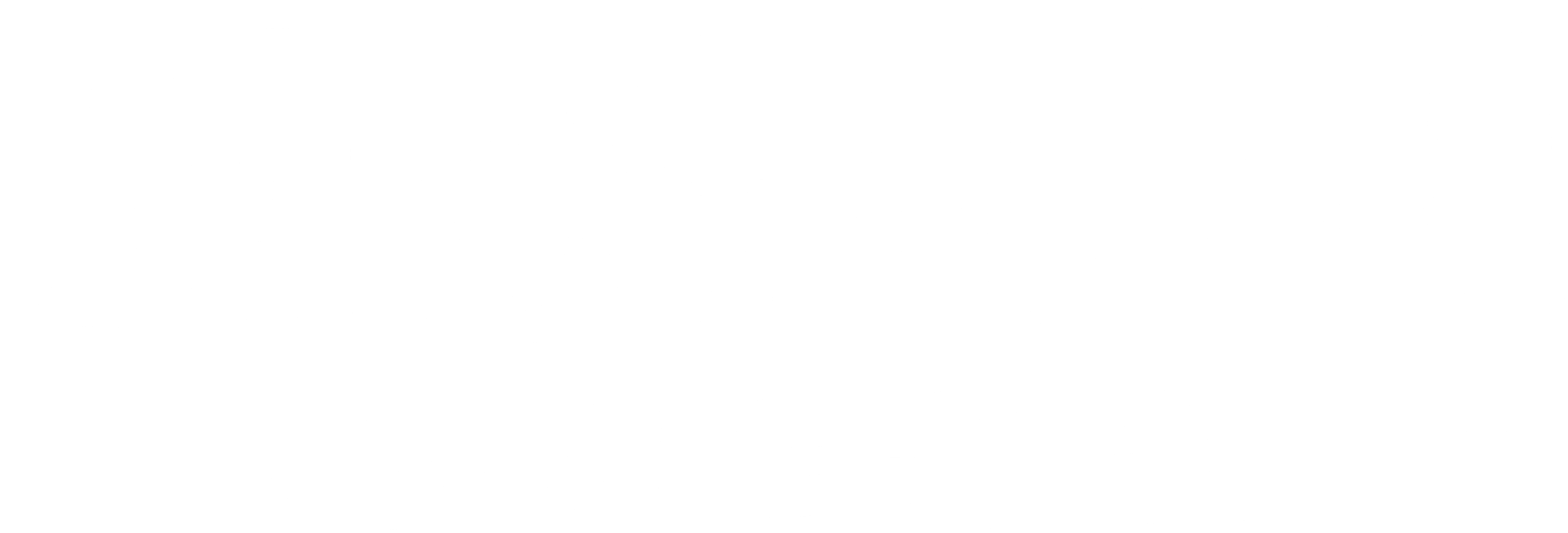 전설의 책: 신비로운 숲