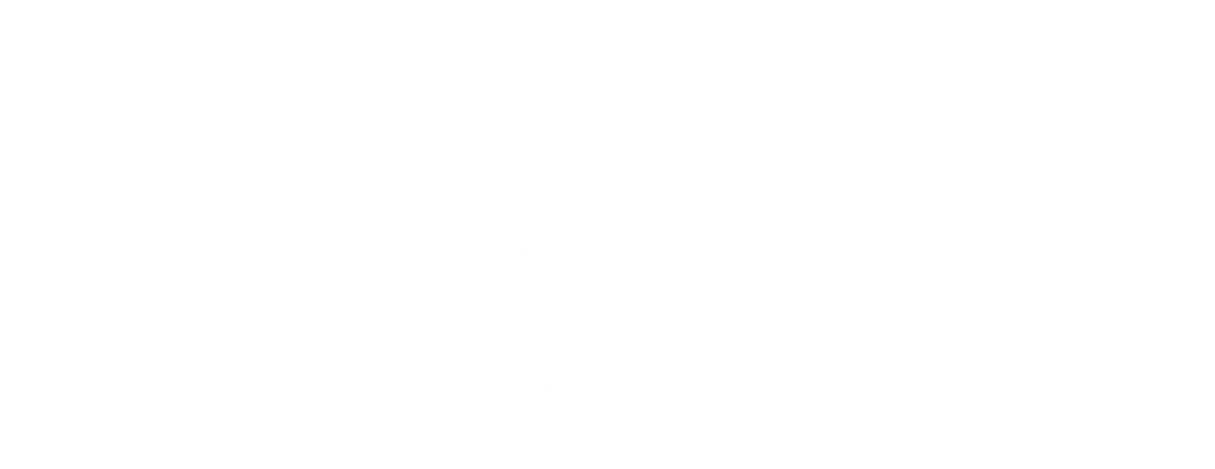 서치 아웃
