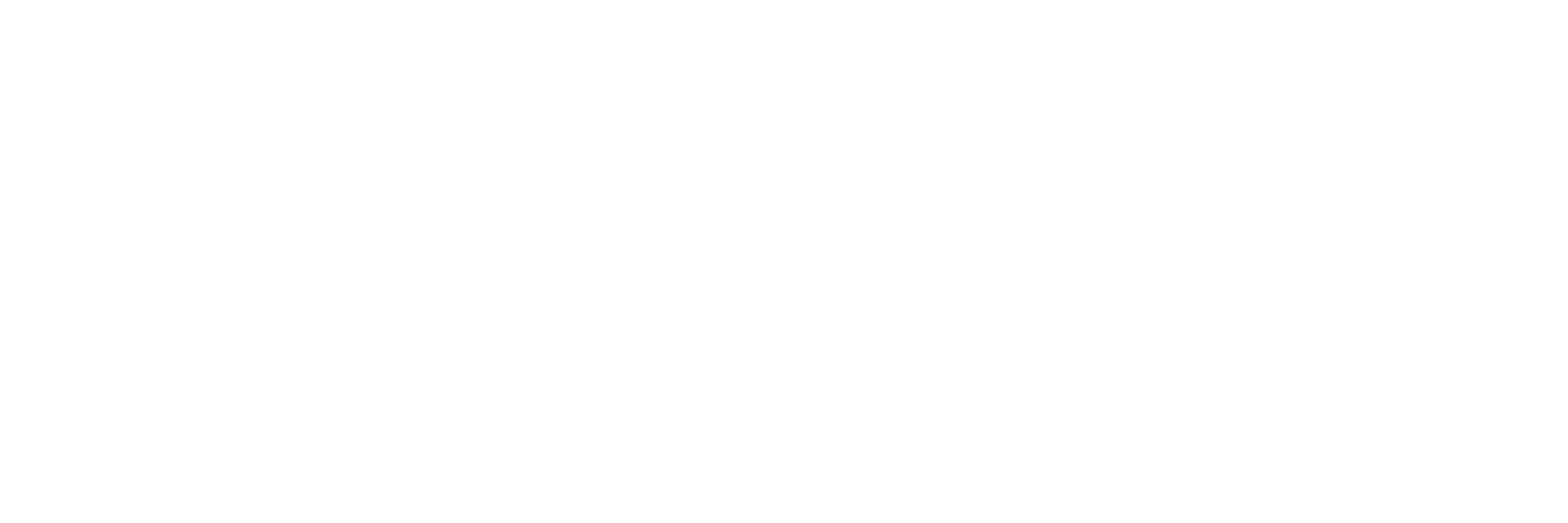 극장판 포켓몬스터 너로 정했다!