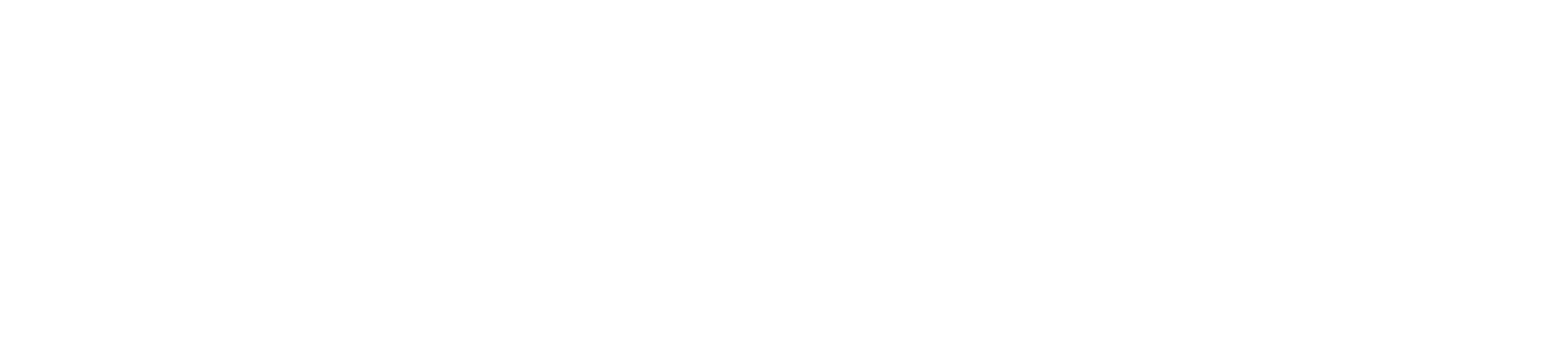 트레인스포팅
