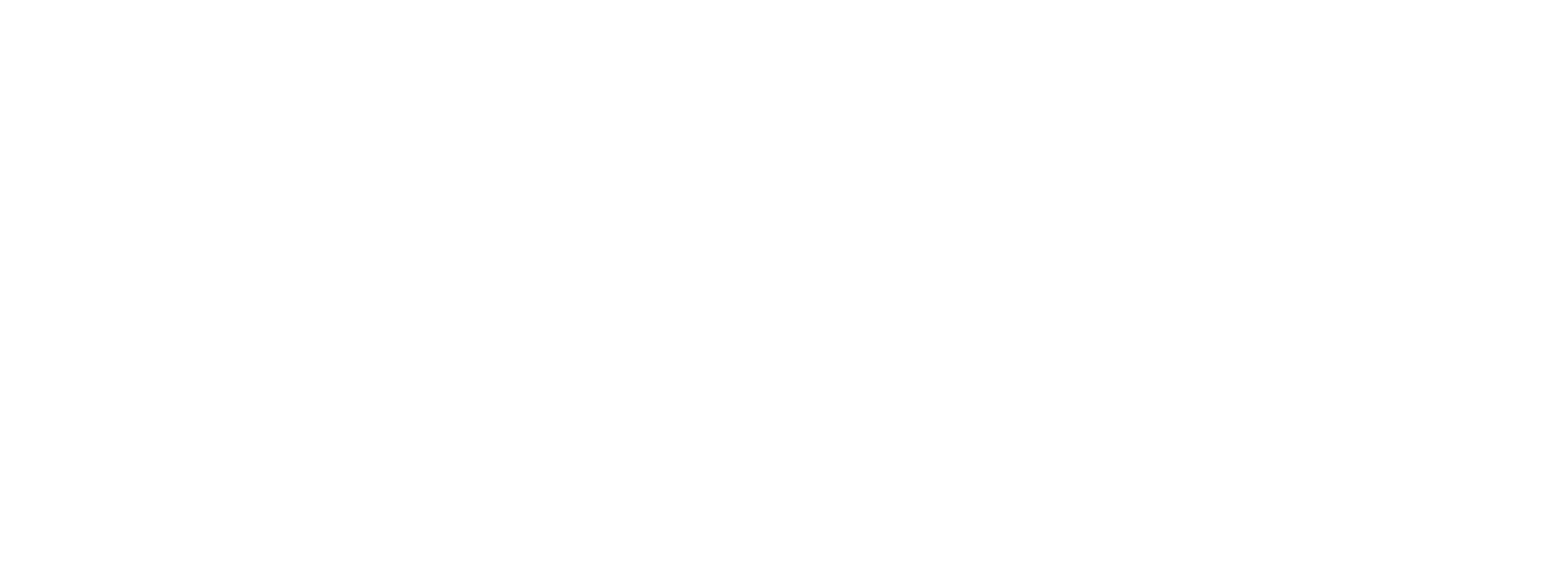 비엔나 호텔의 야간 배달부