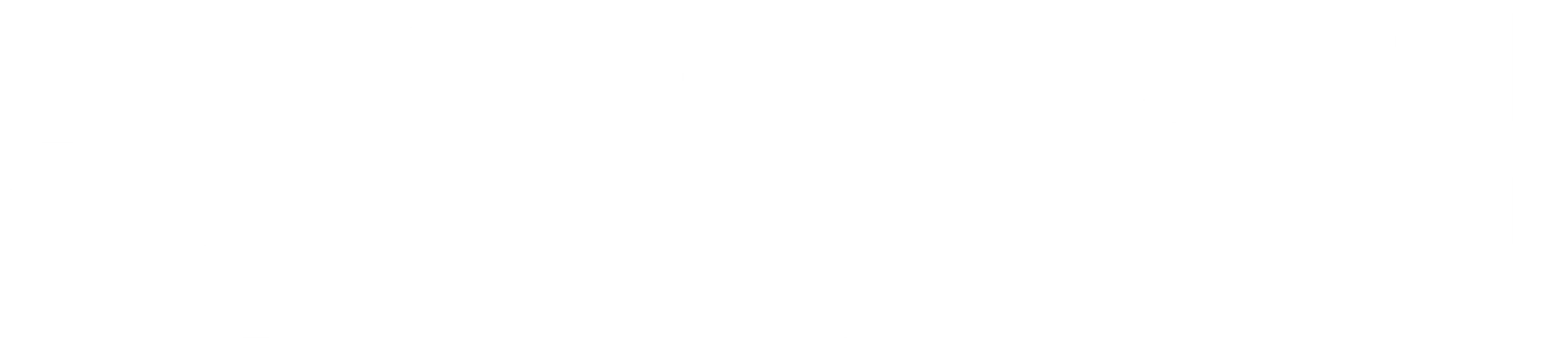 블러드 펀치