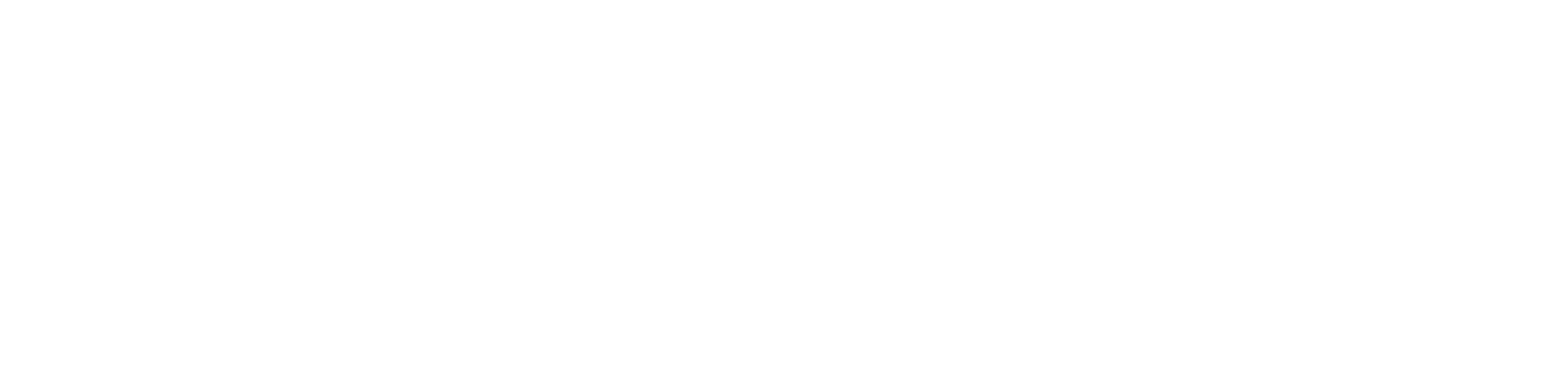 서프라이즈