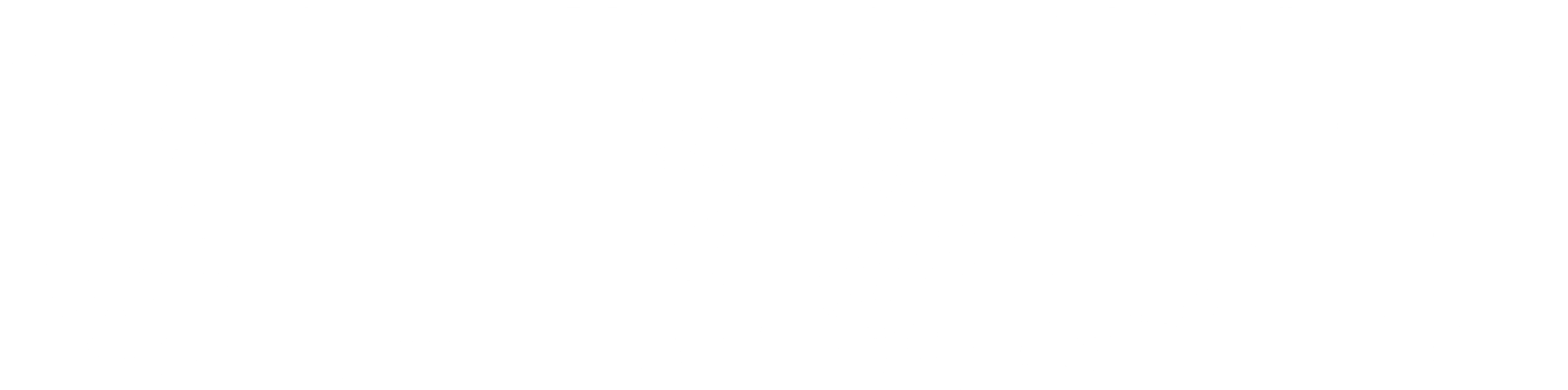 일대종사