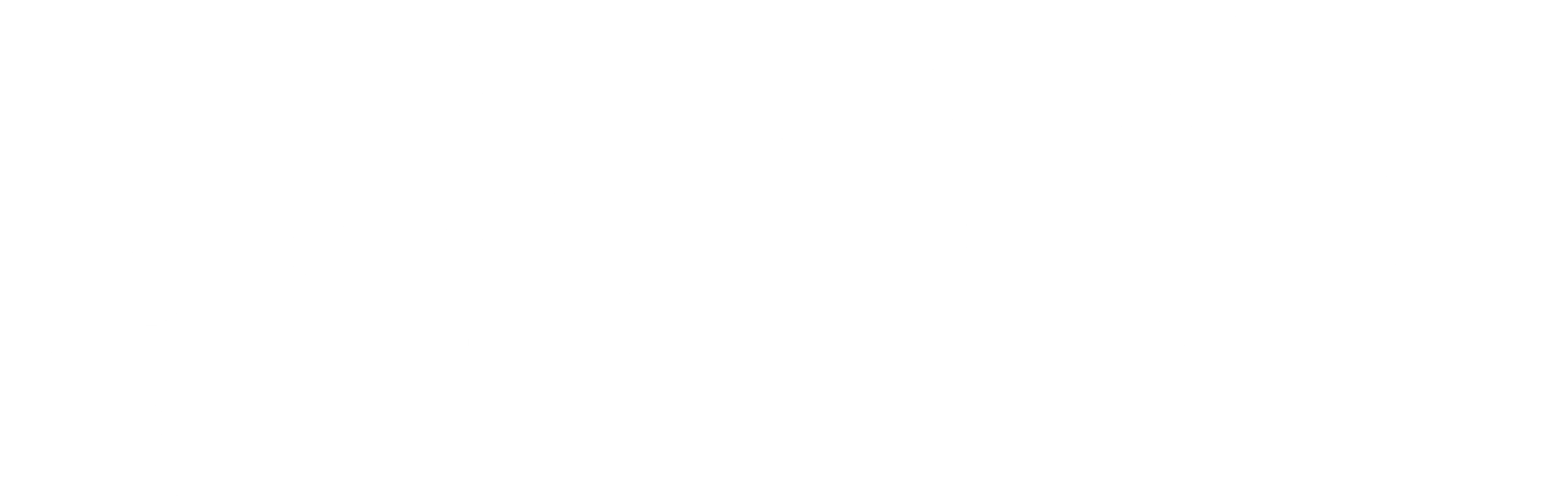 종이 비행기