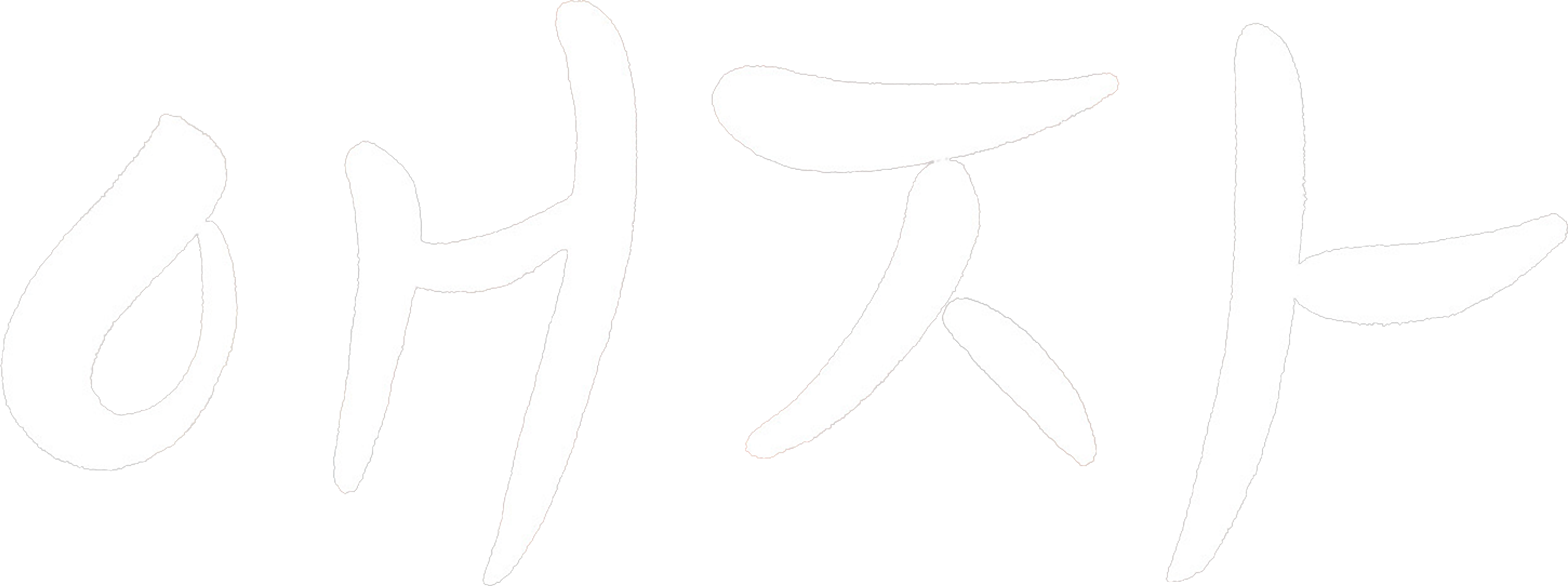 애자