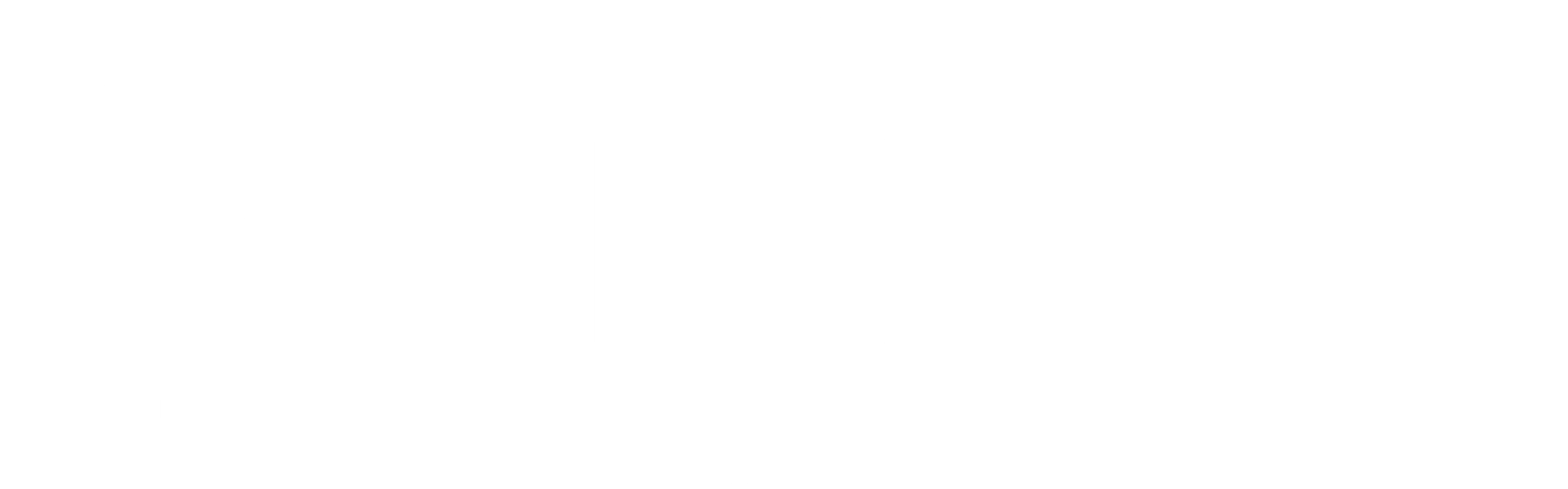 헬 아미