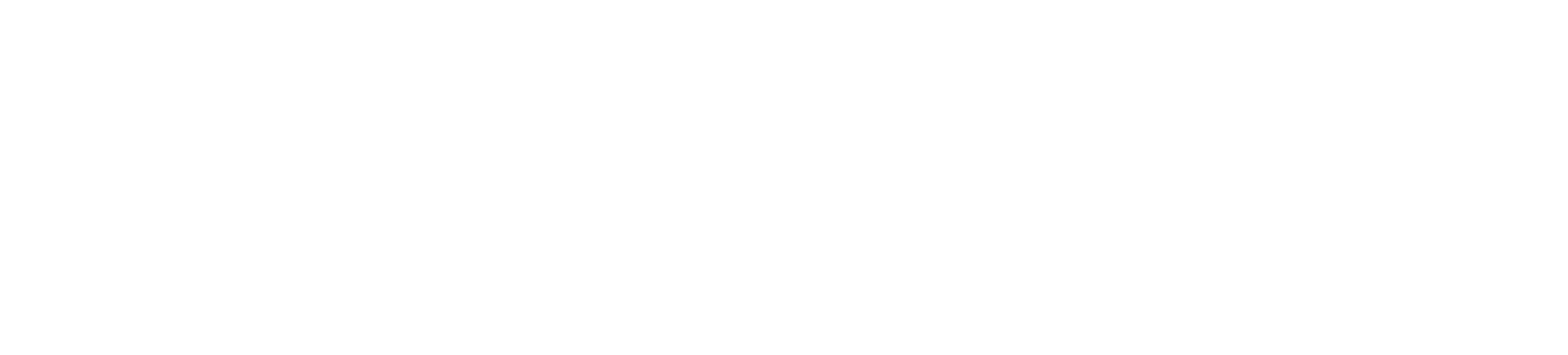 분노의 질주: 더 얼티메이트