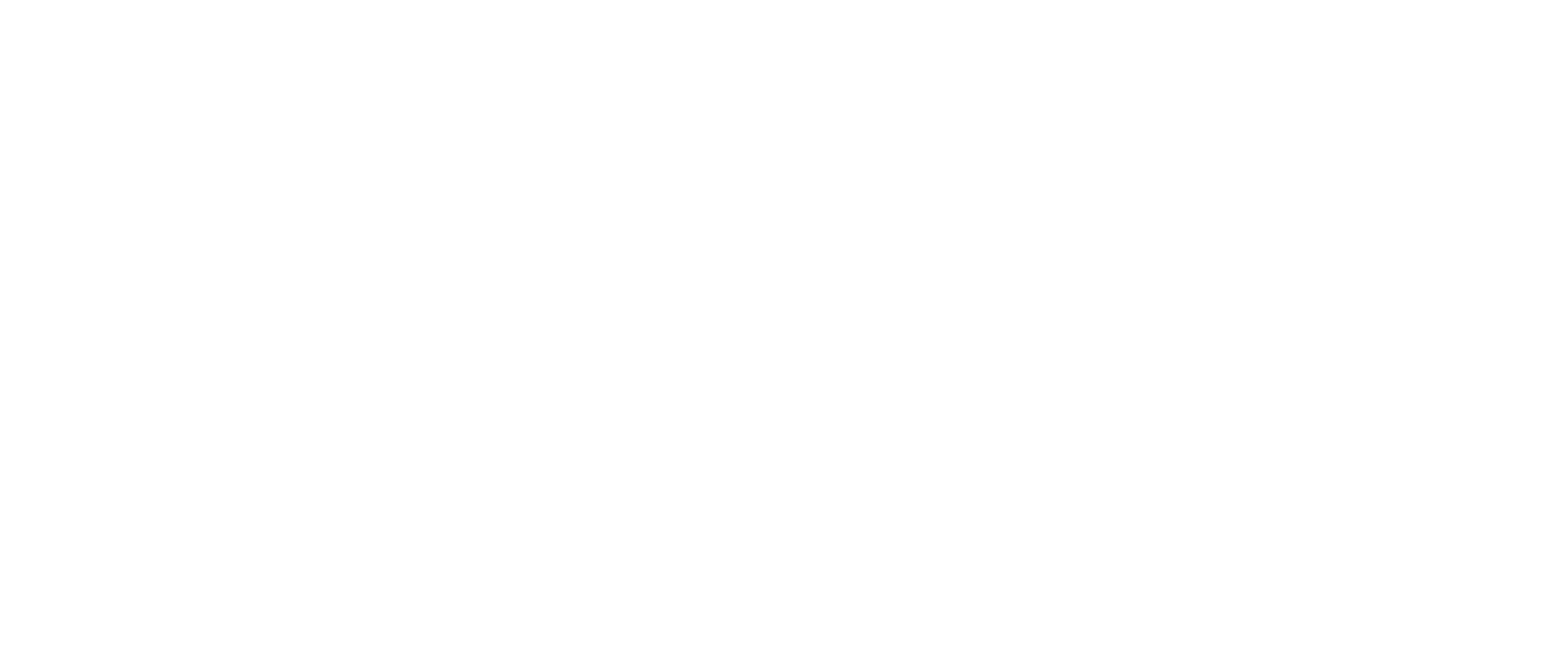 정전자 2