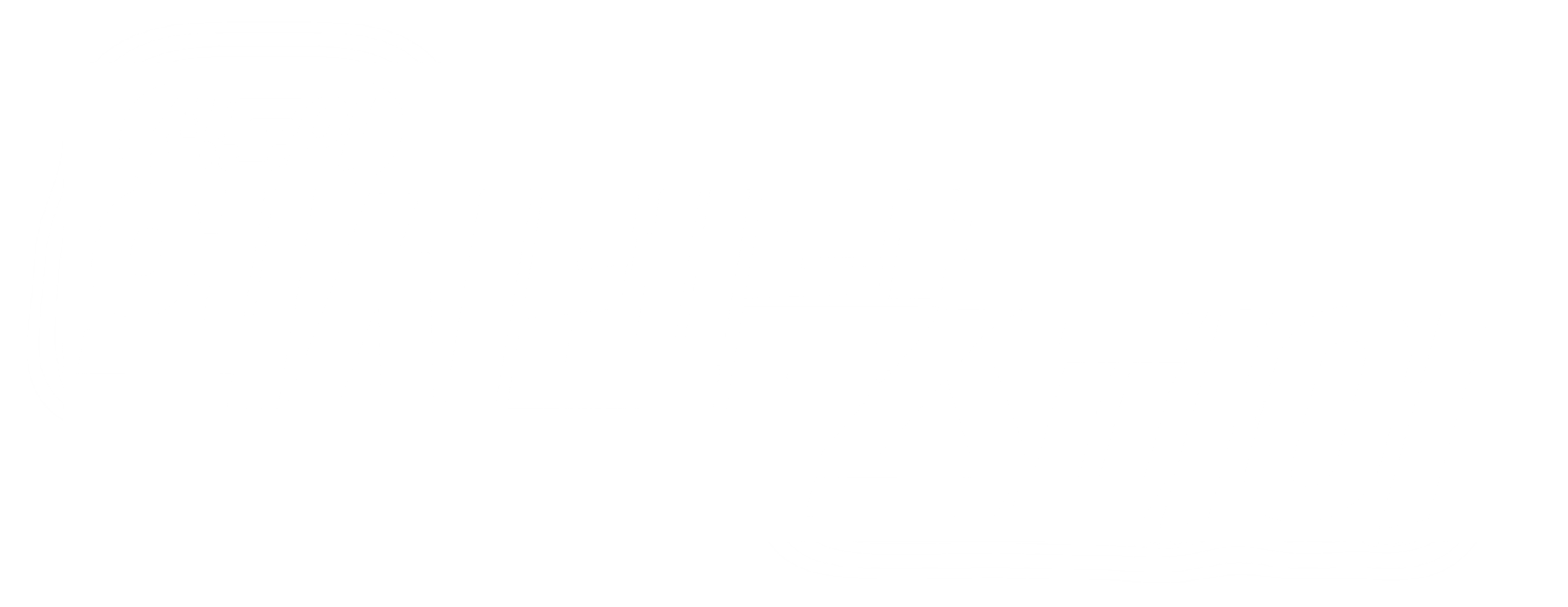 엑시덴탈 스파이
