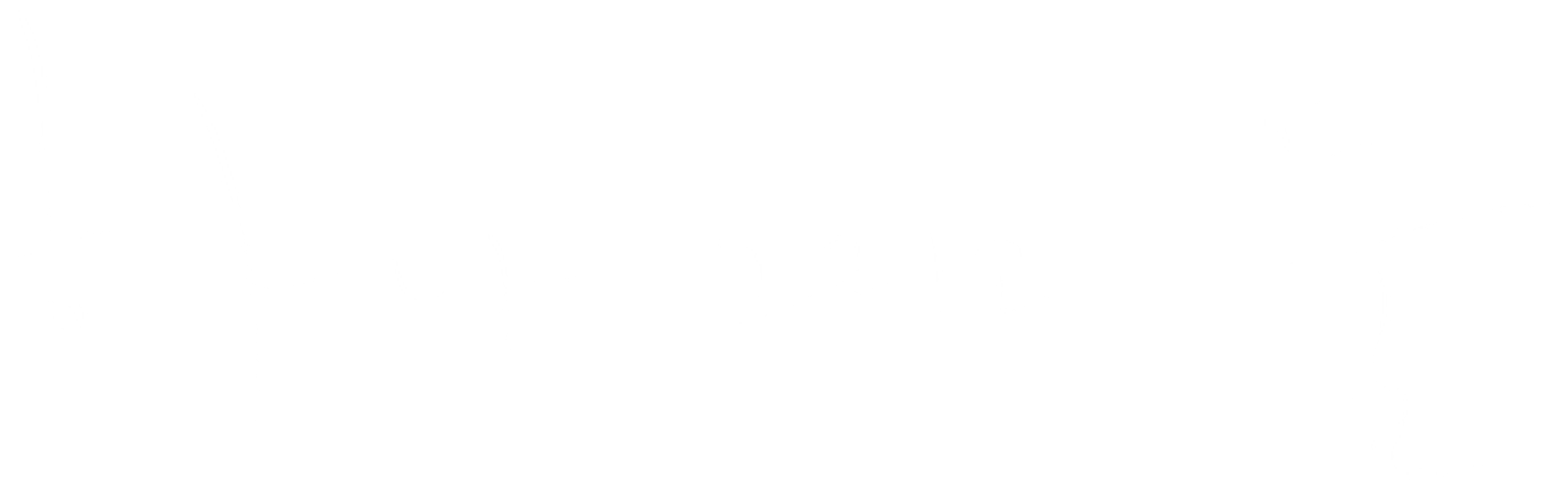 하나 그리고 둘