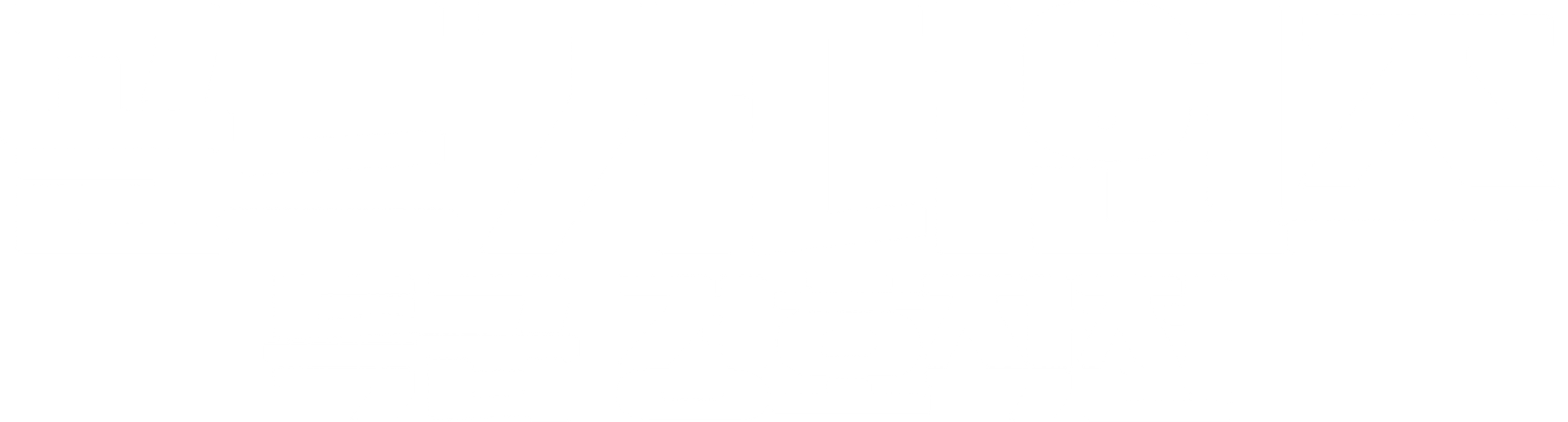 골드 가디언즈: 특급 경호작전