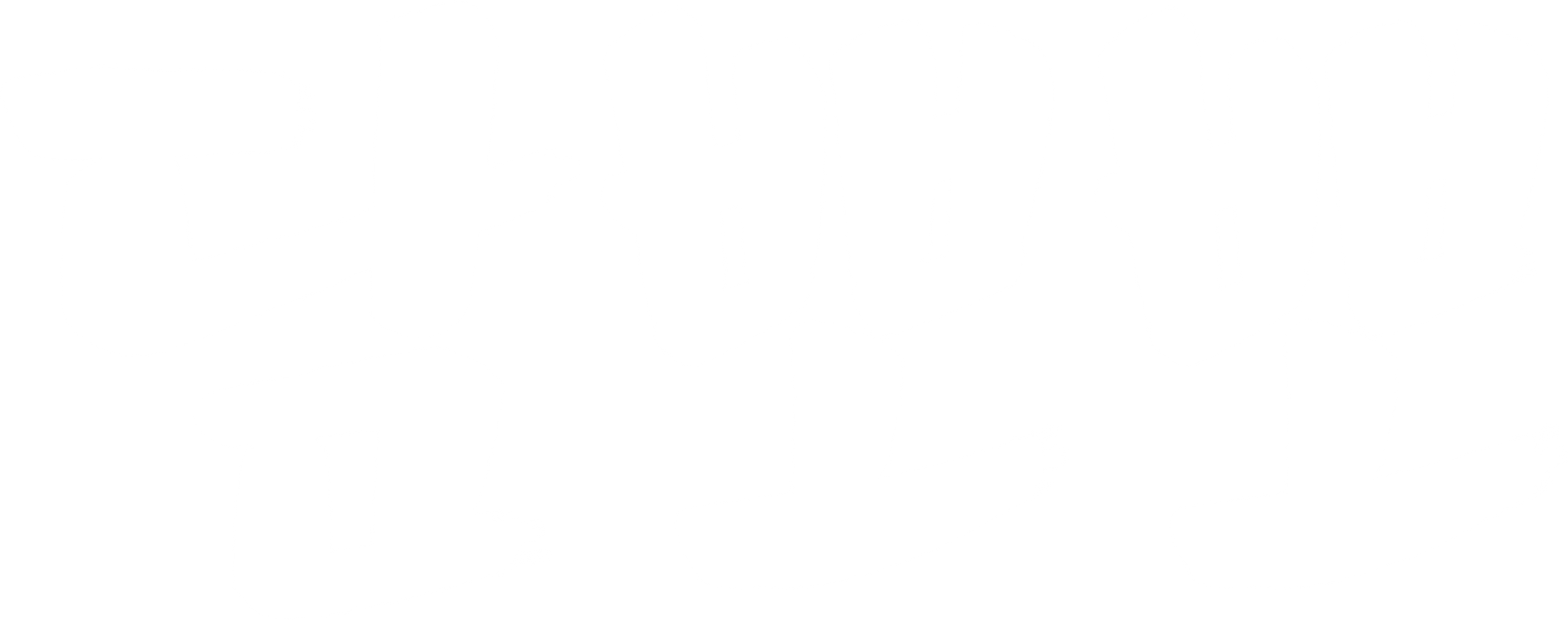 담뽀뽀