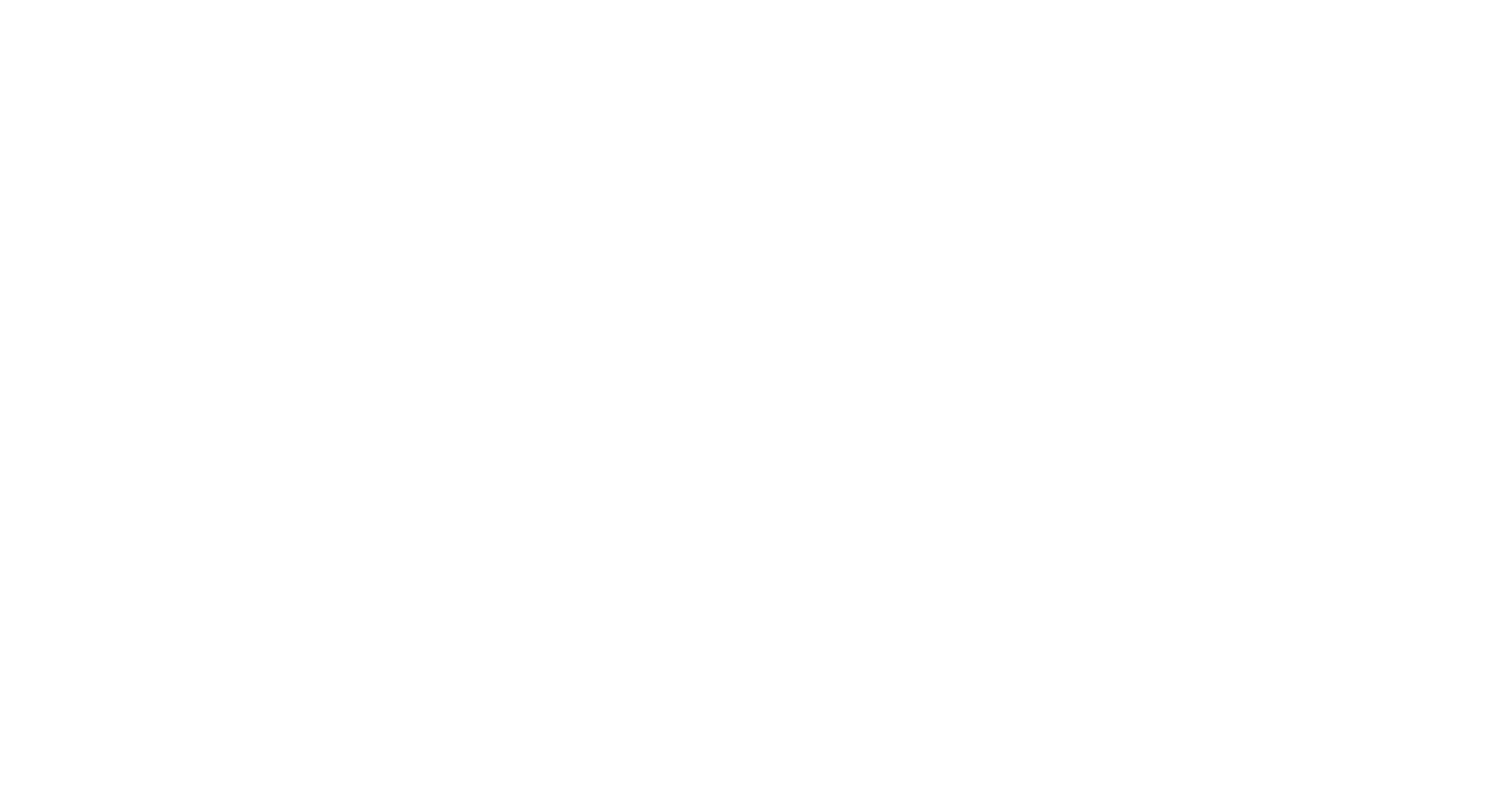 스타트업