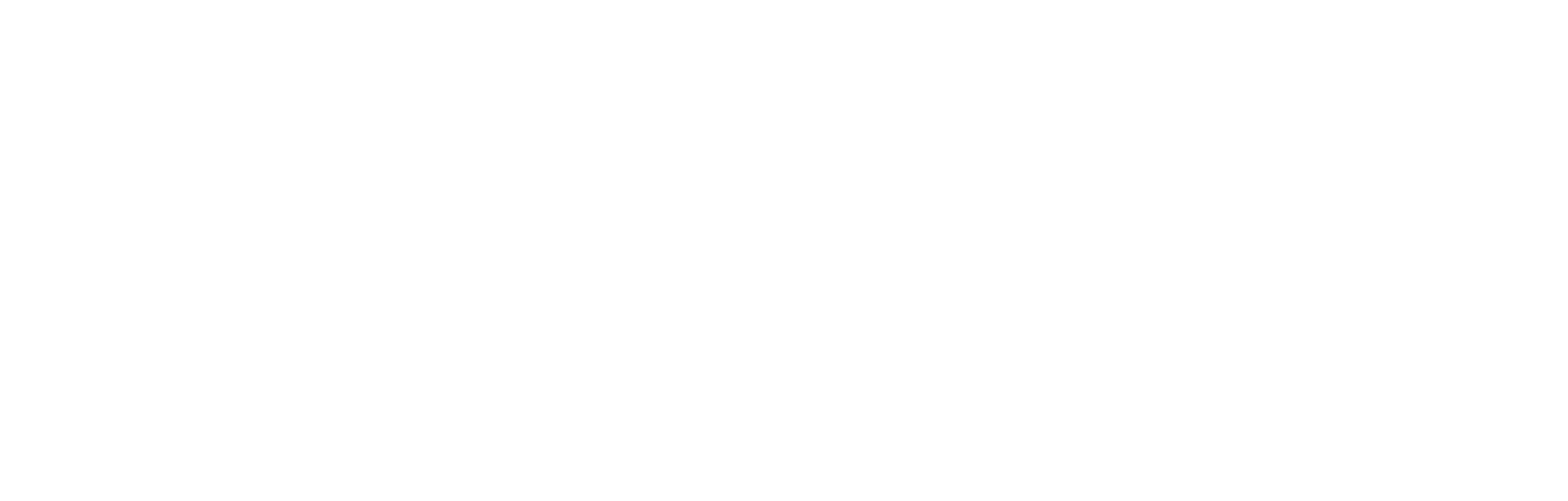 시카고