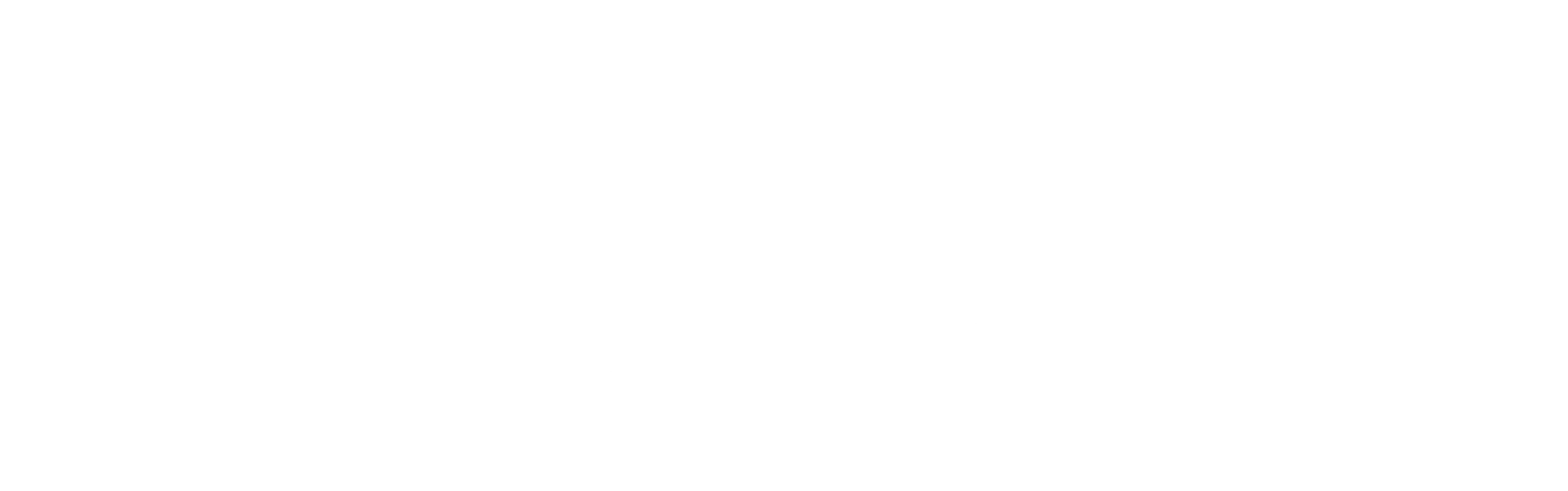 질풍론도