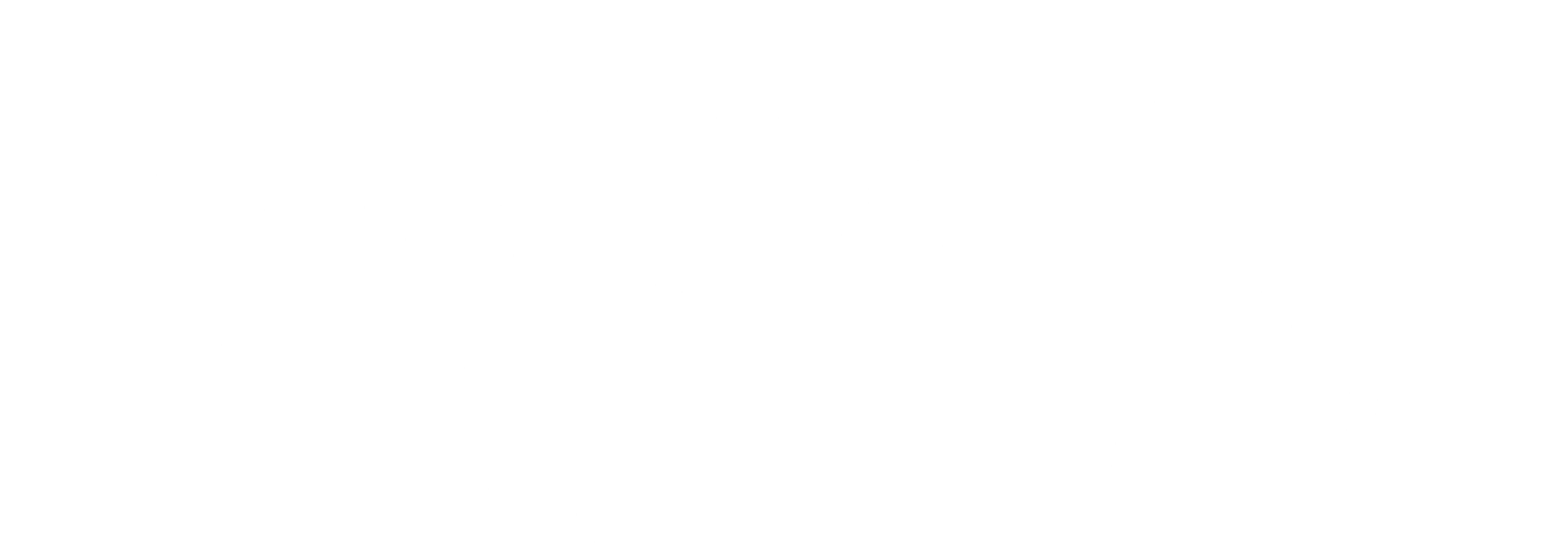 대립군