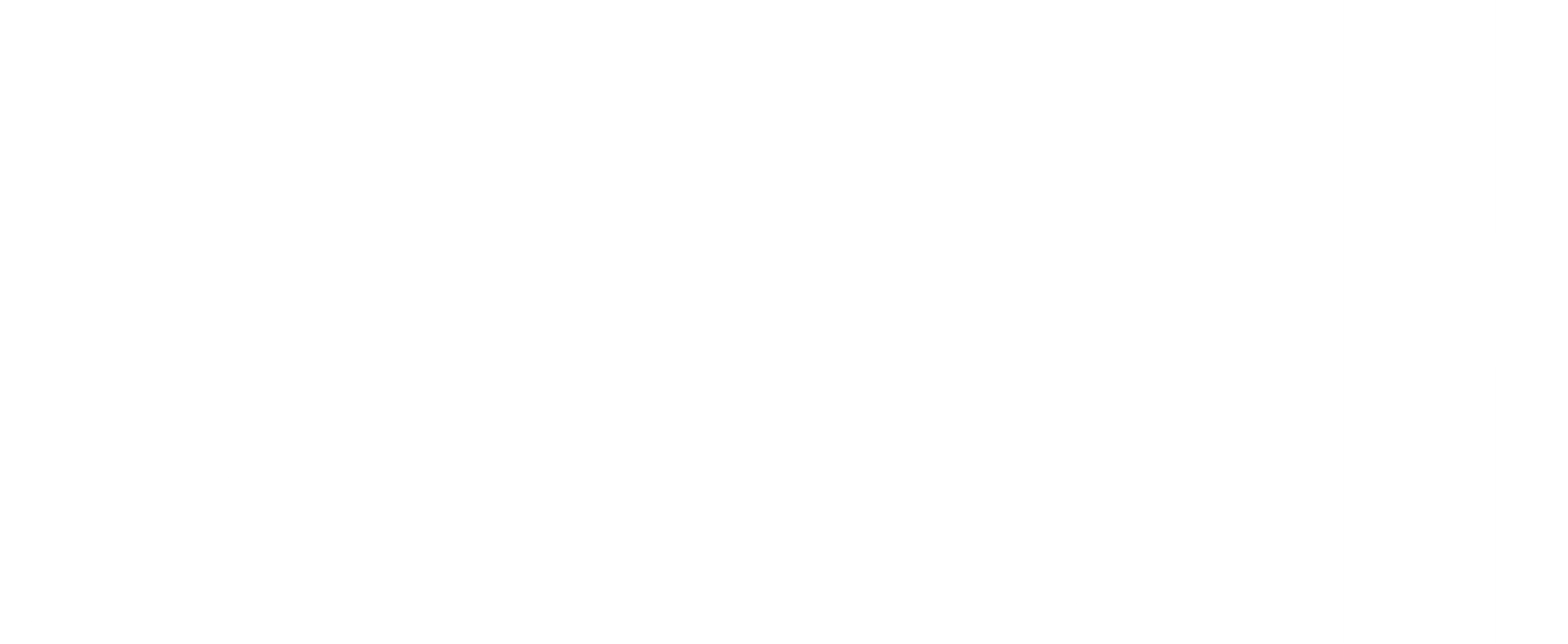 더 바