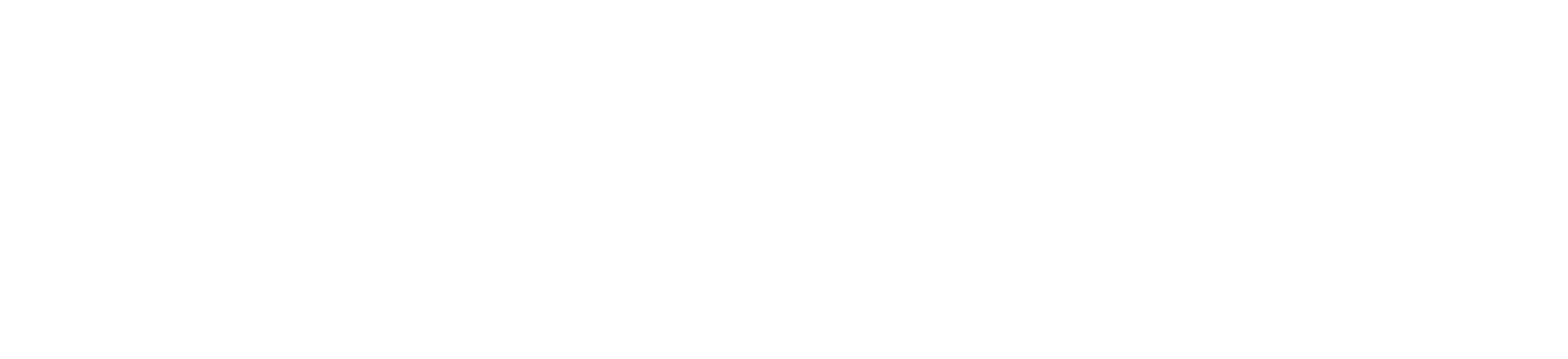 나의 혁명