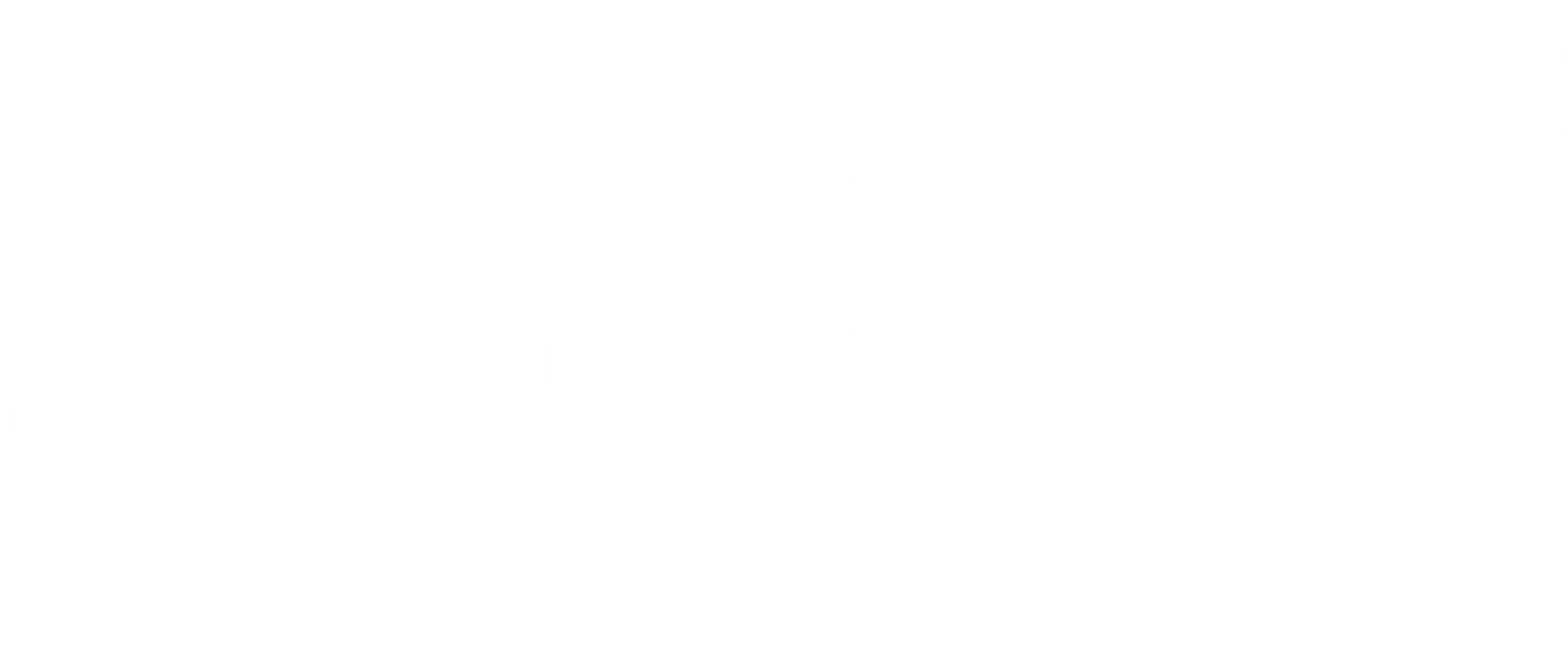 분노의 건샷