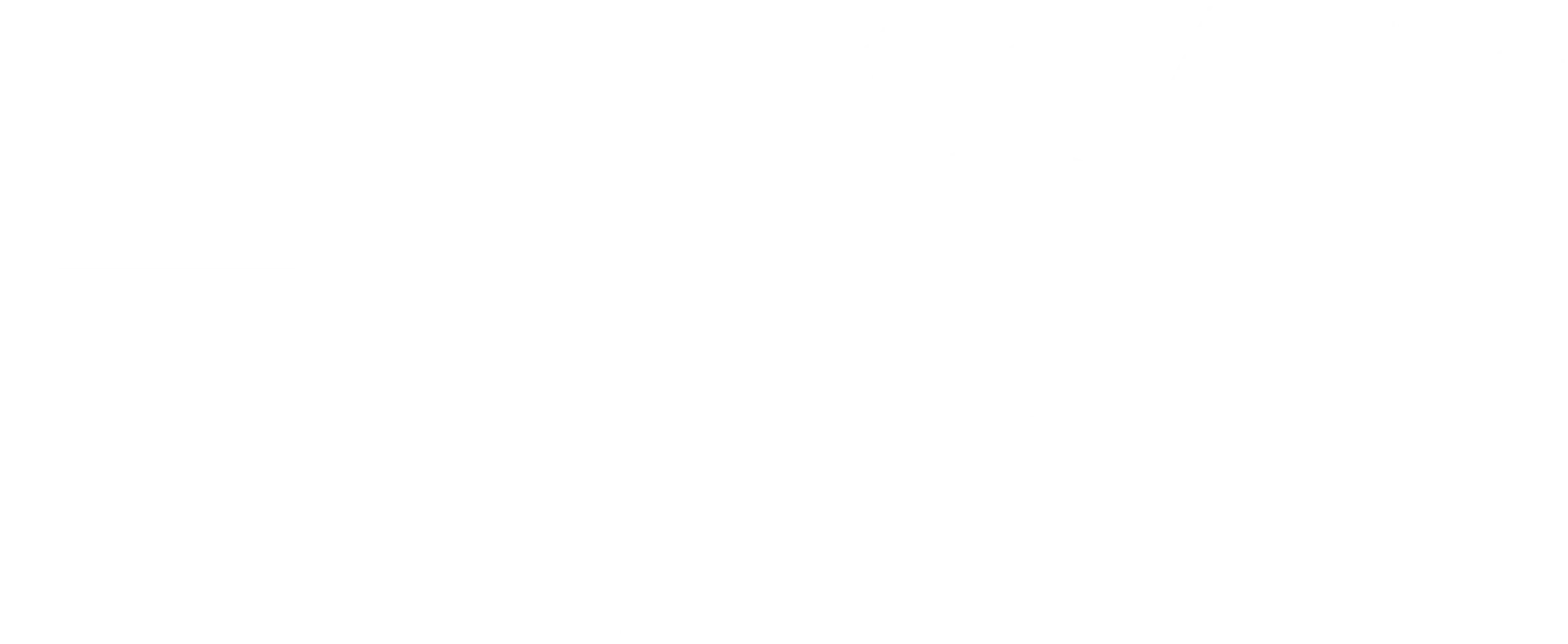 부기우기: 상위 1%의 섹스