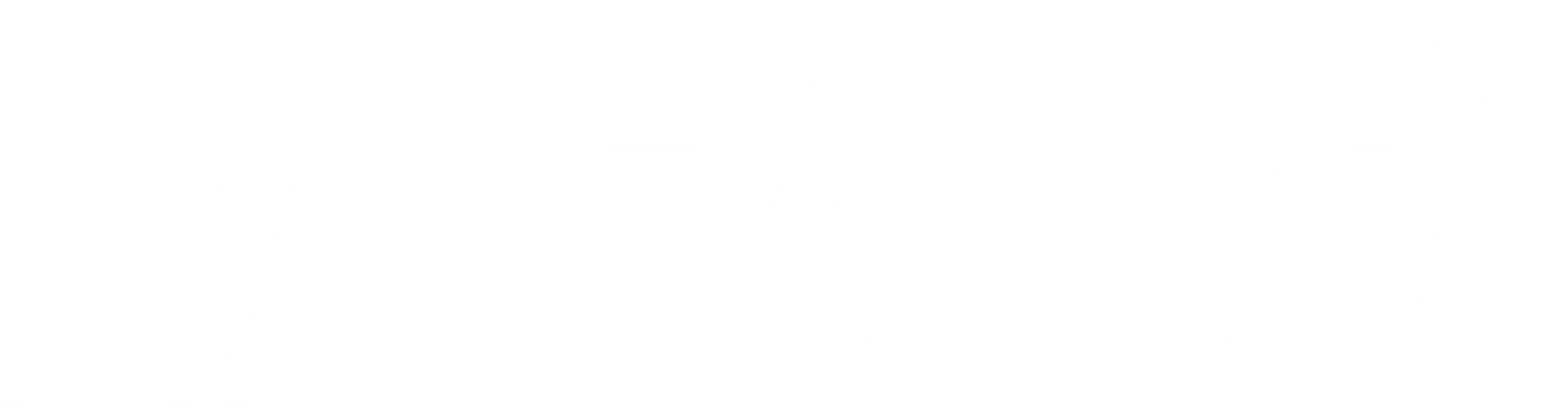 미스터 토렌테 <카지노를 털어라!!!>