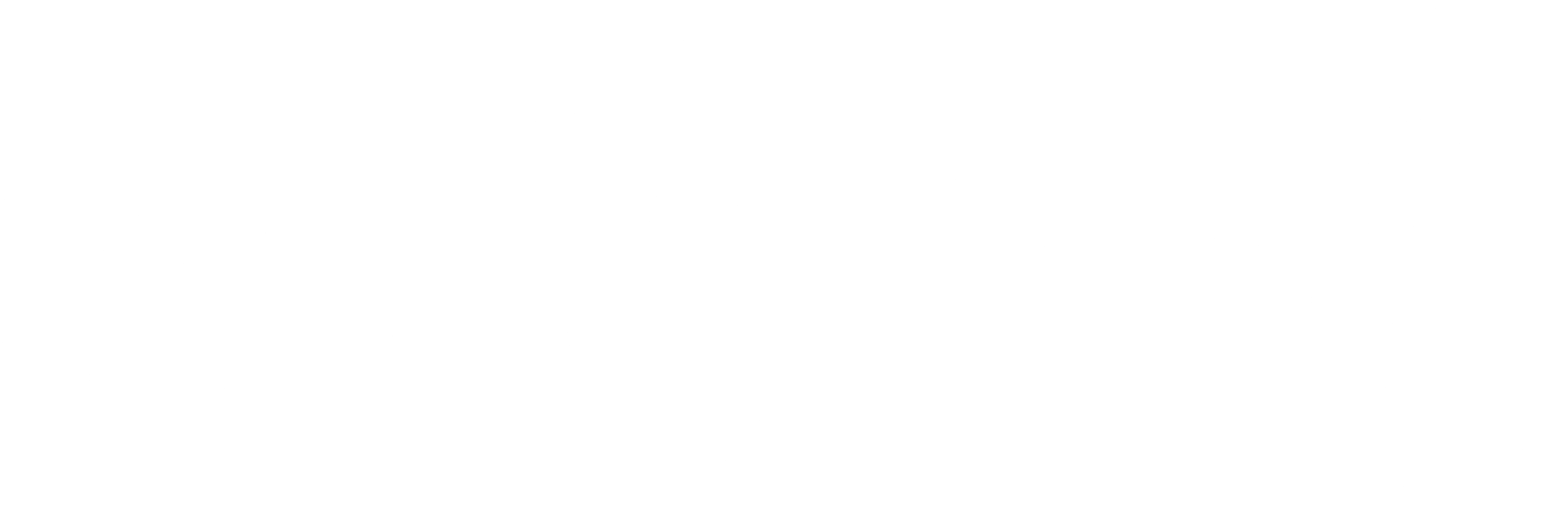 배짱이들