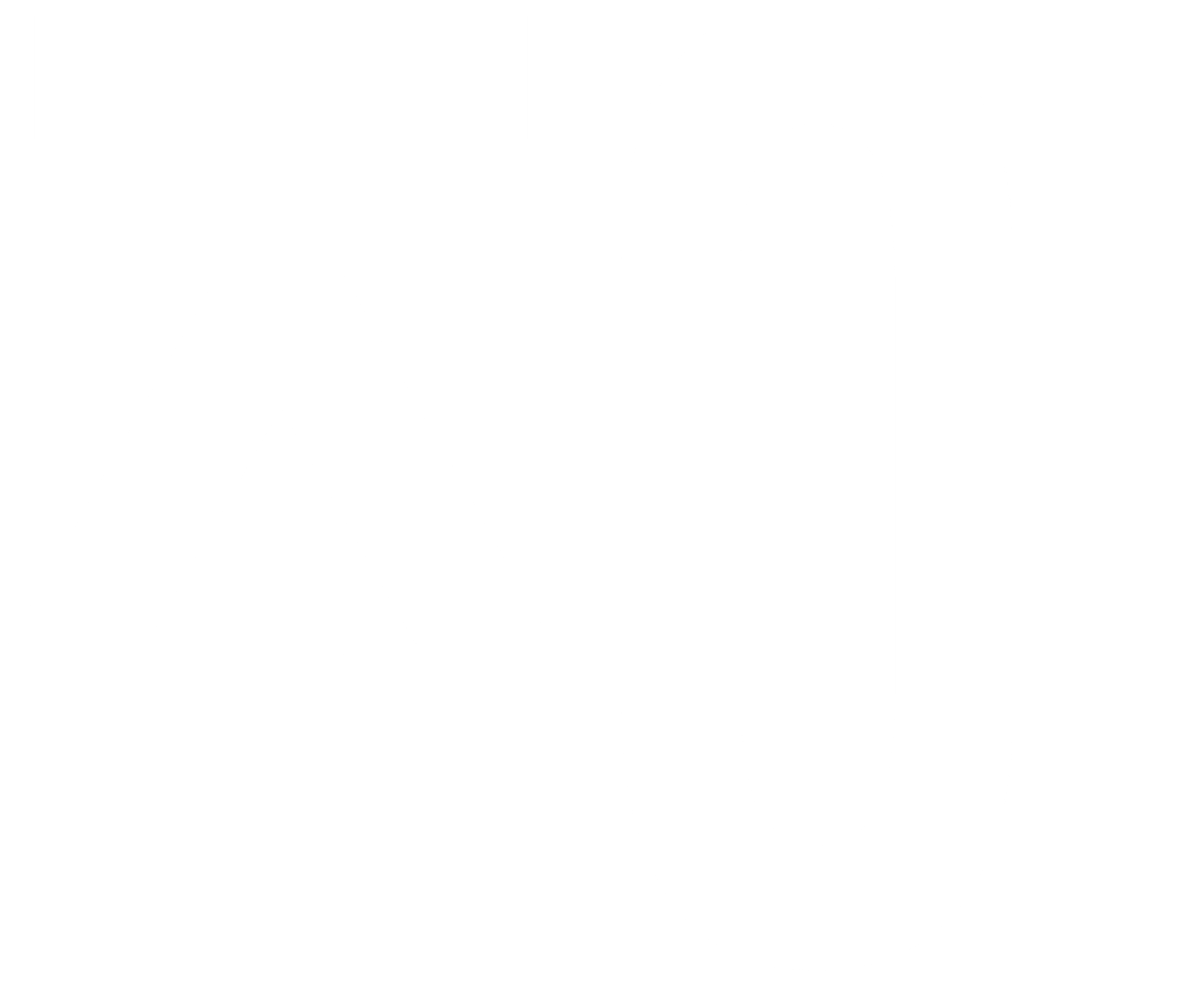 조이