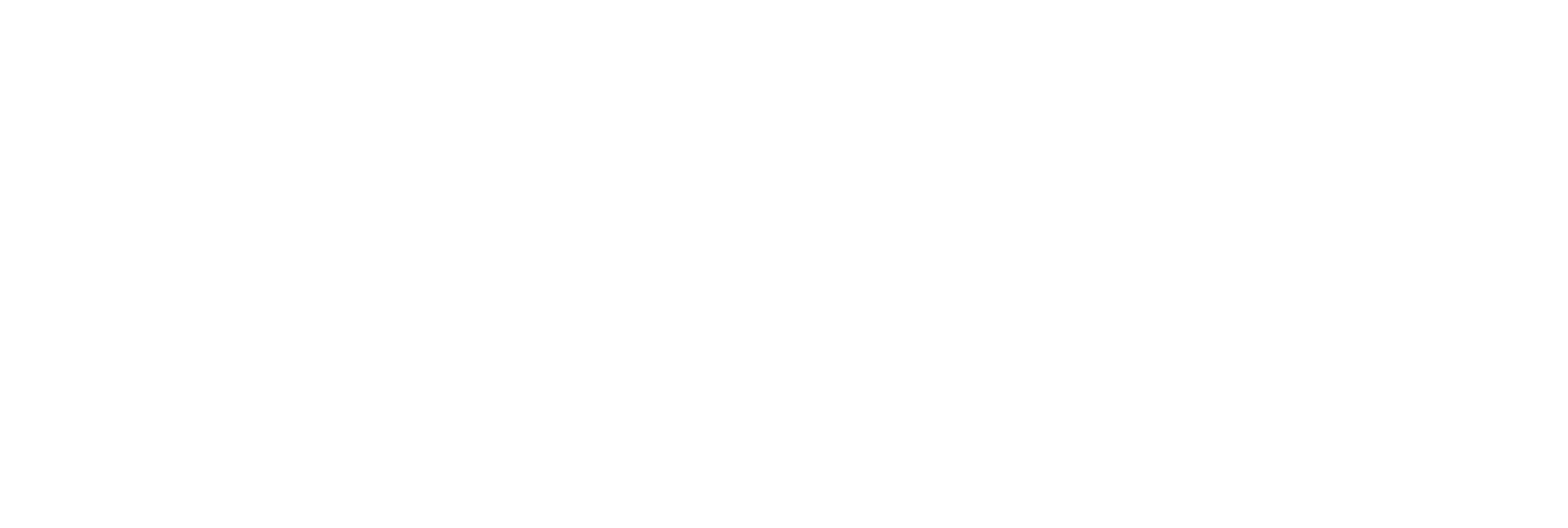 실버라이닝 플레이북