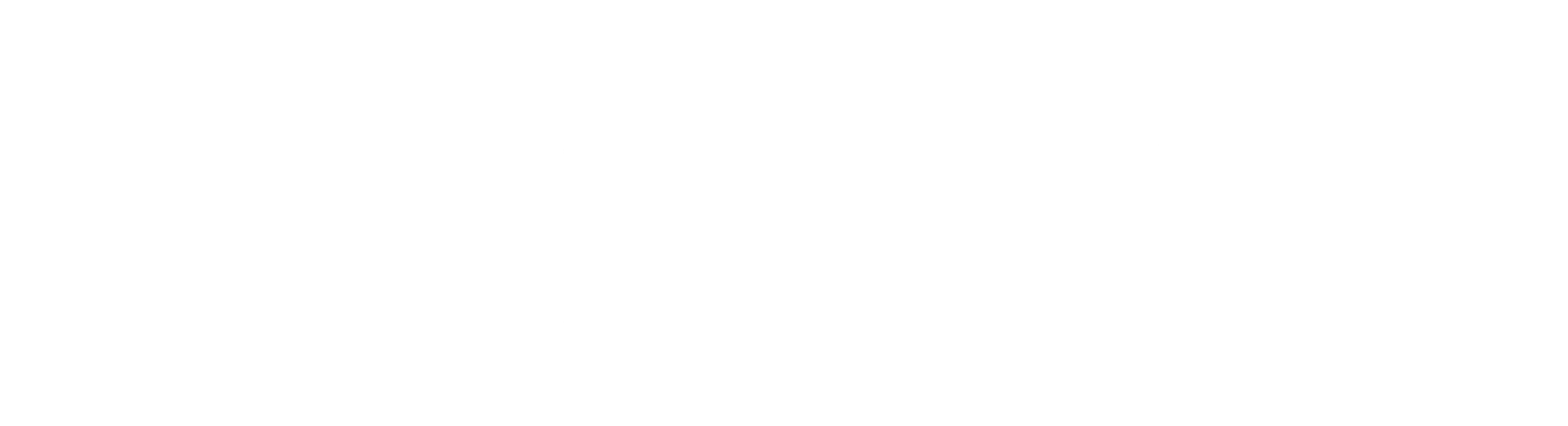 라이브 TV