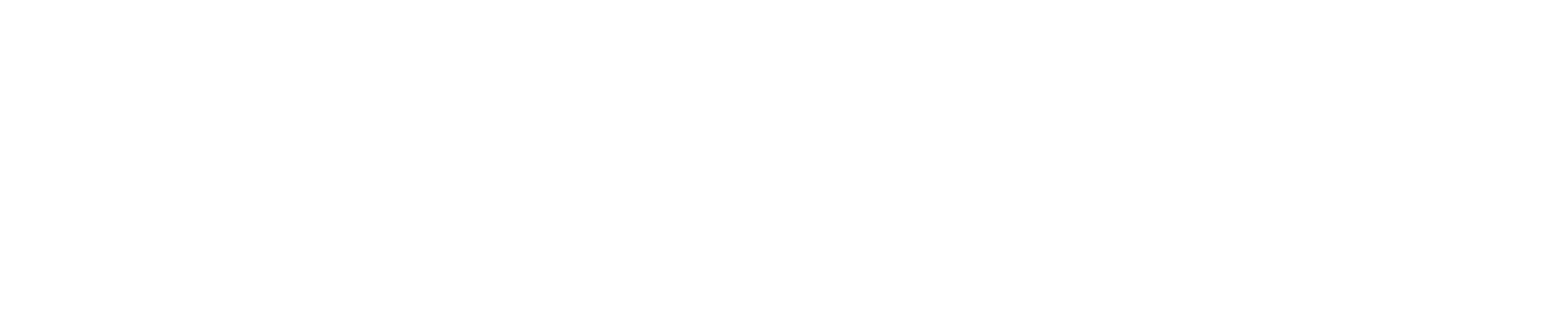 더 인포먼트
