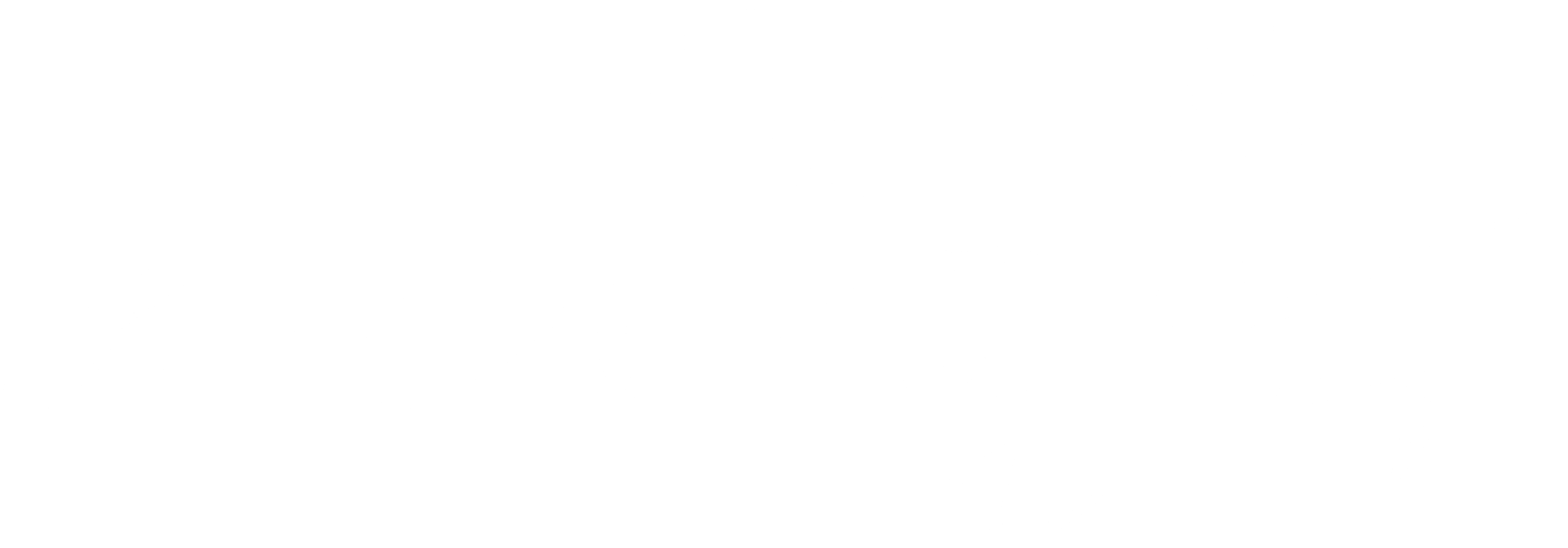셔틀콕