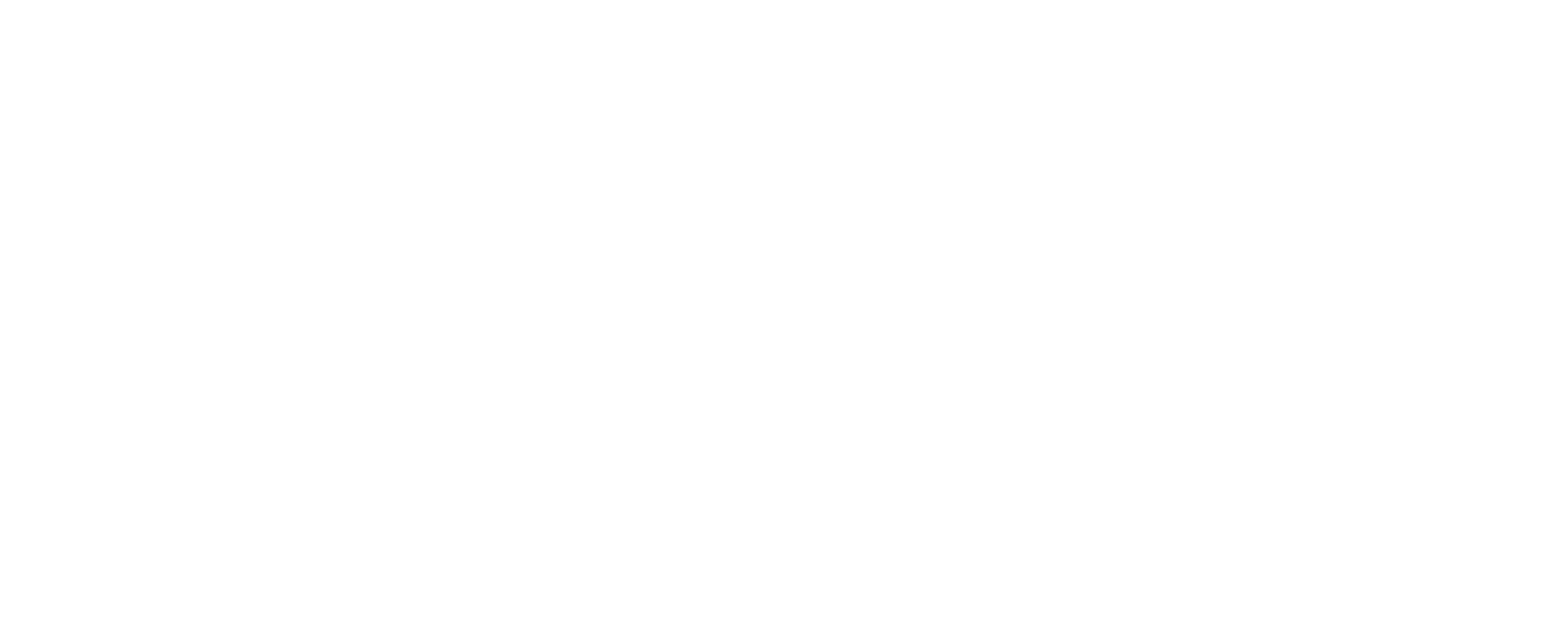 라이즈 오브 더 블랙 배트