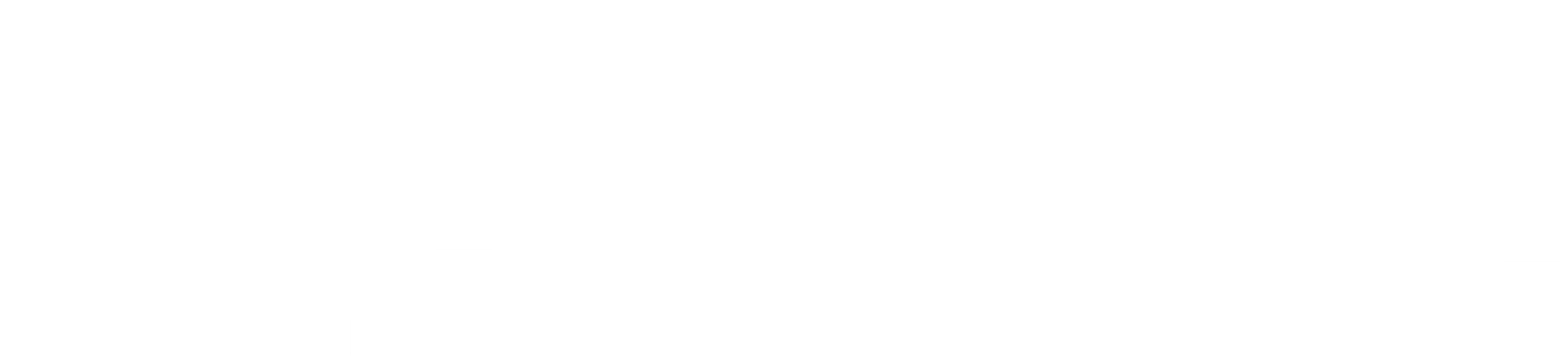 클린스킨