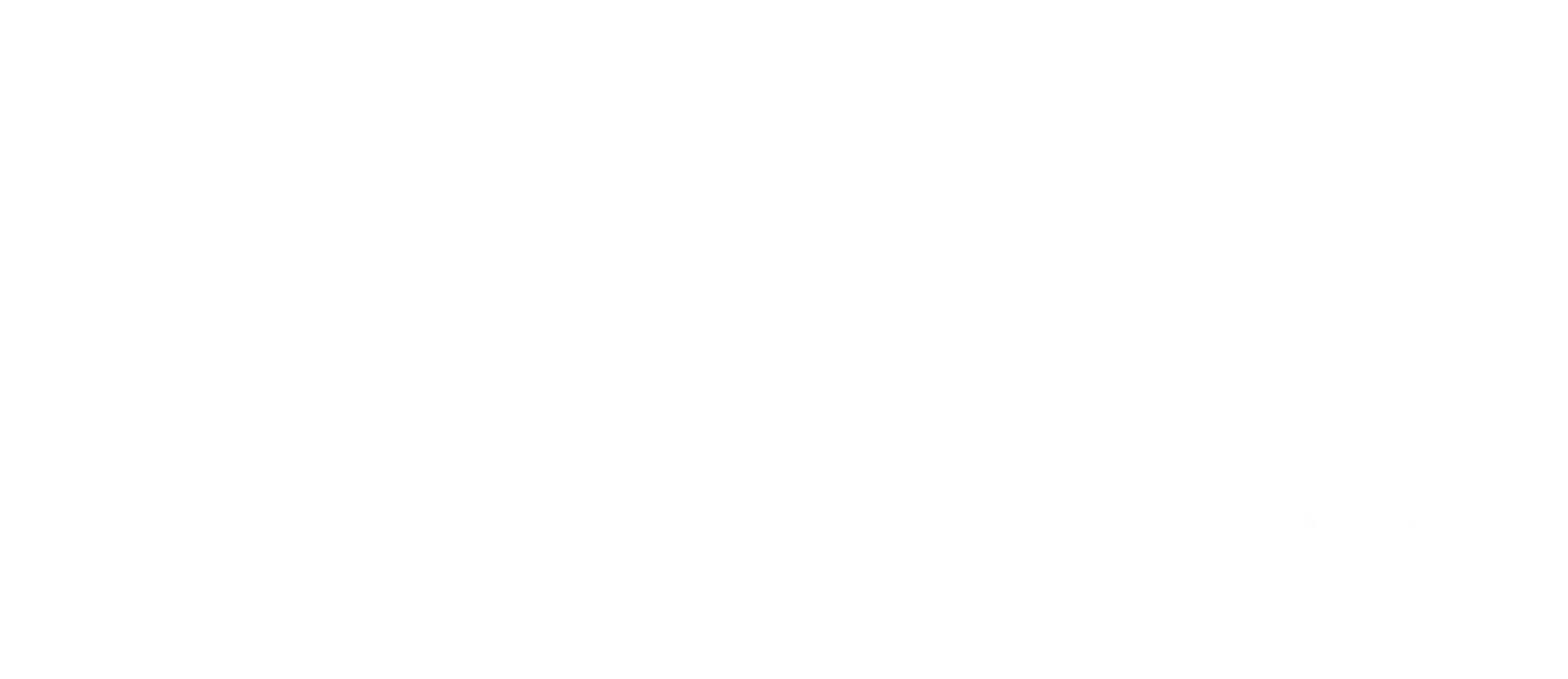 듀크