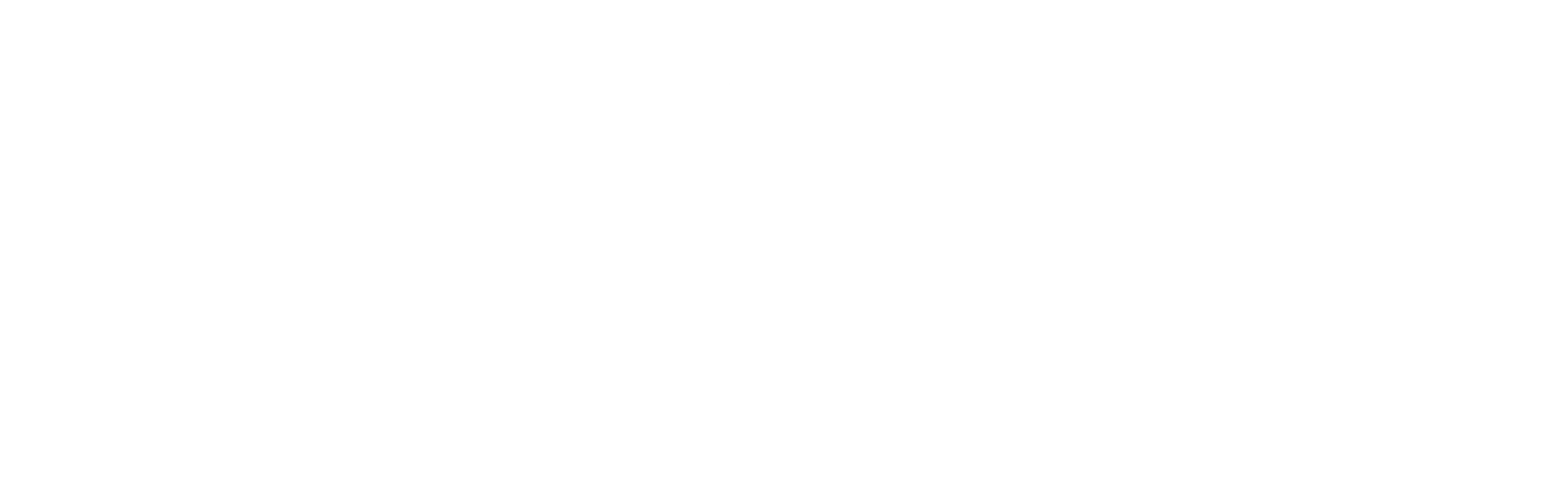 더 서치