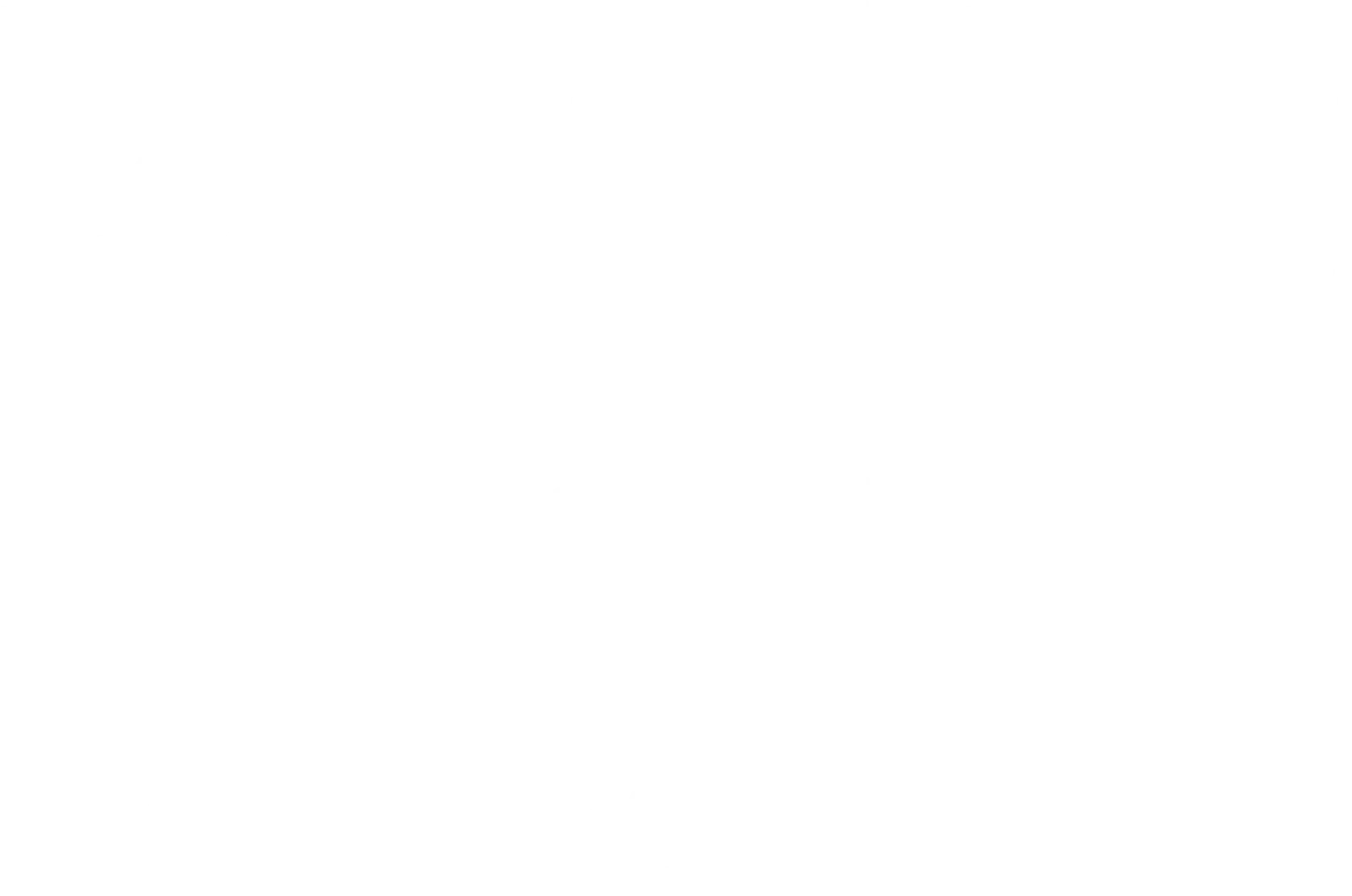 라이크 마이크