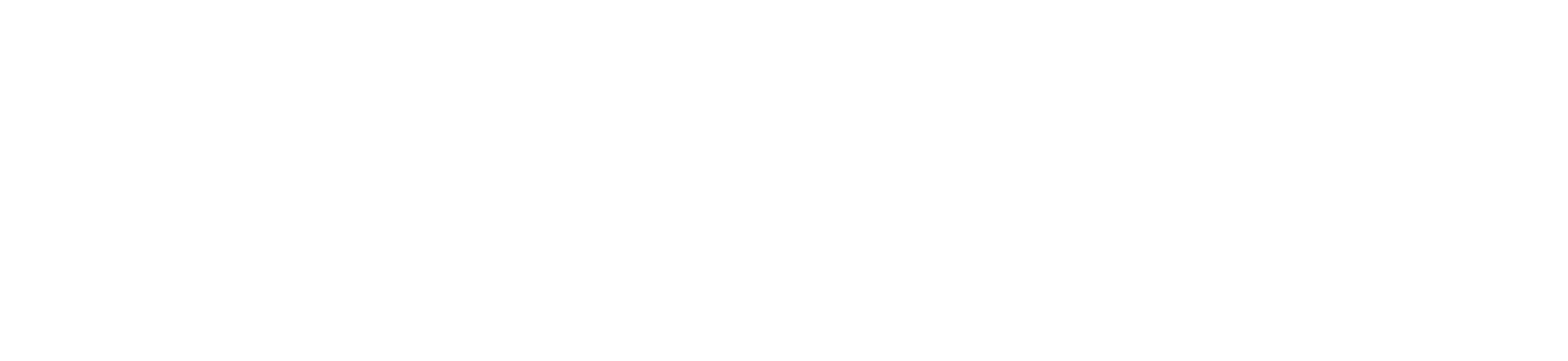 자유의 댄스
