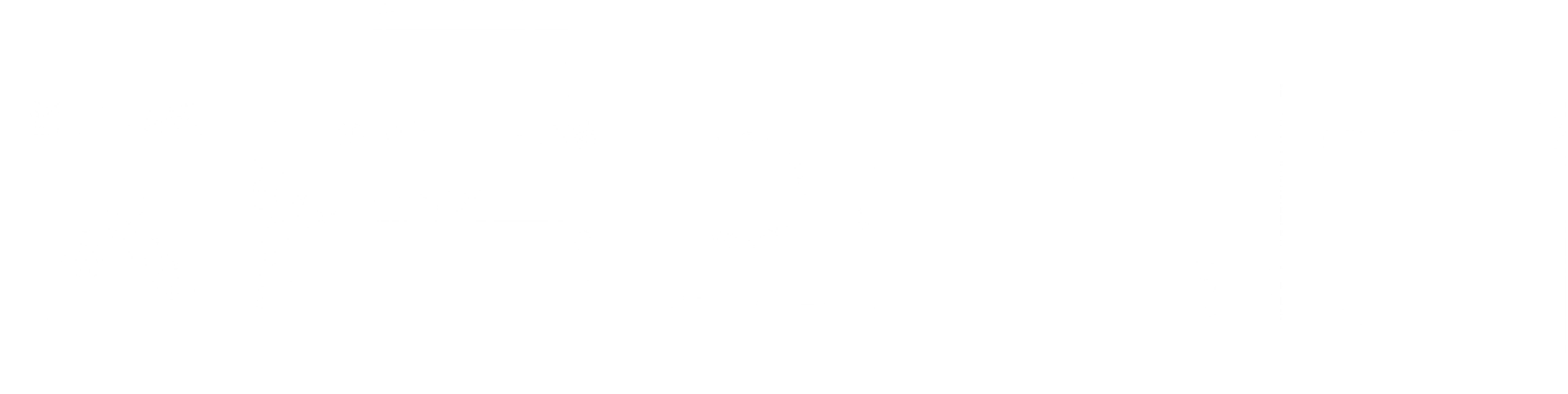 자극의 세기
