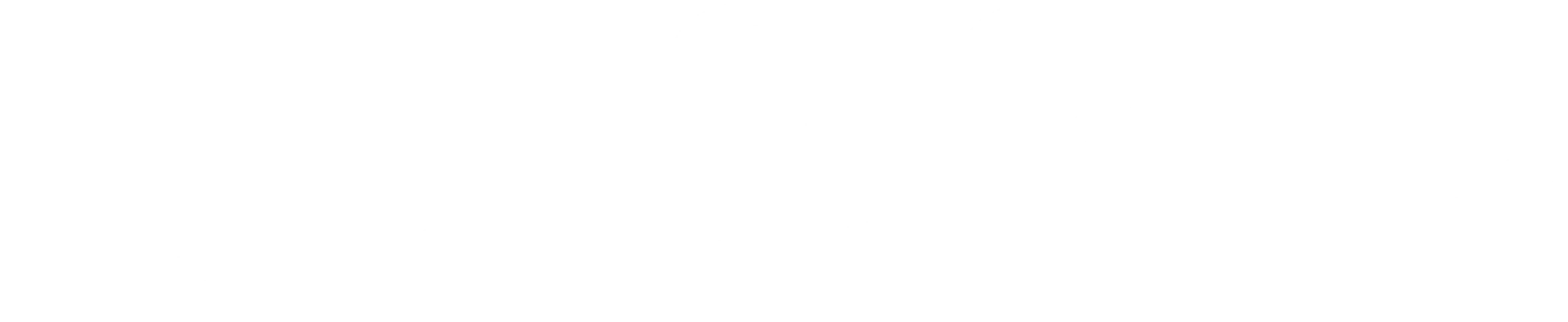 리버 와일드