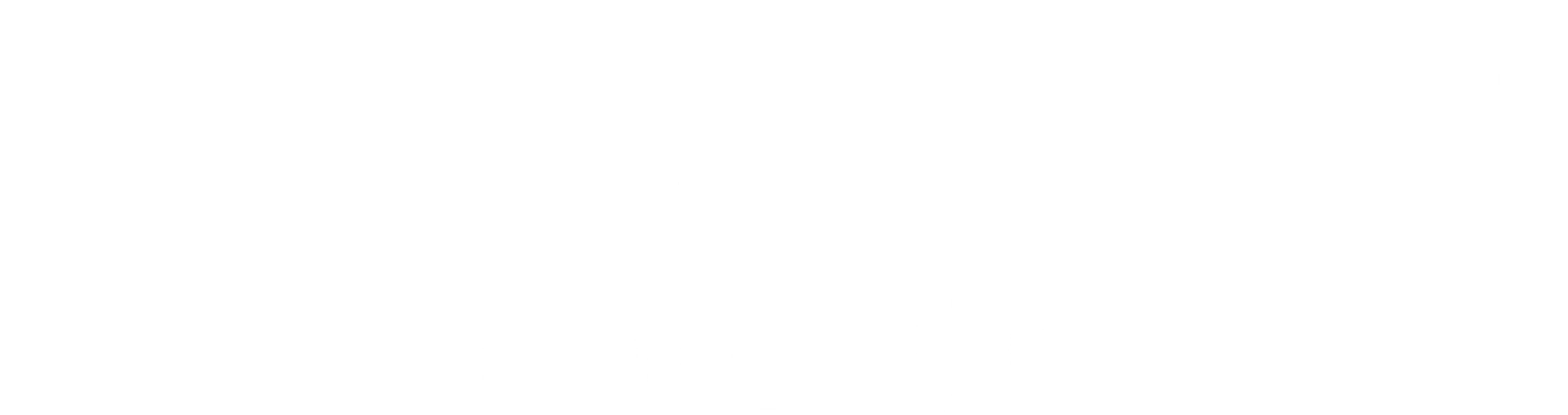 아이언 스카이