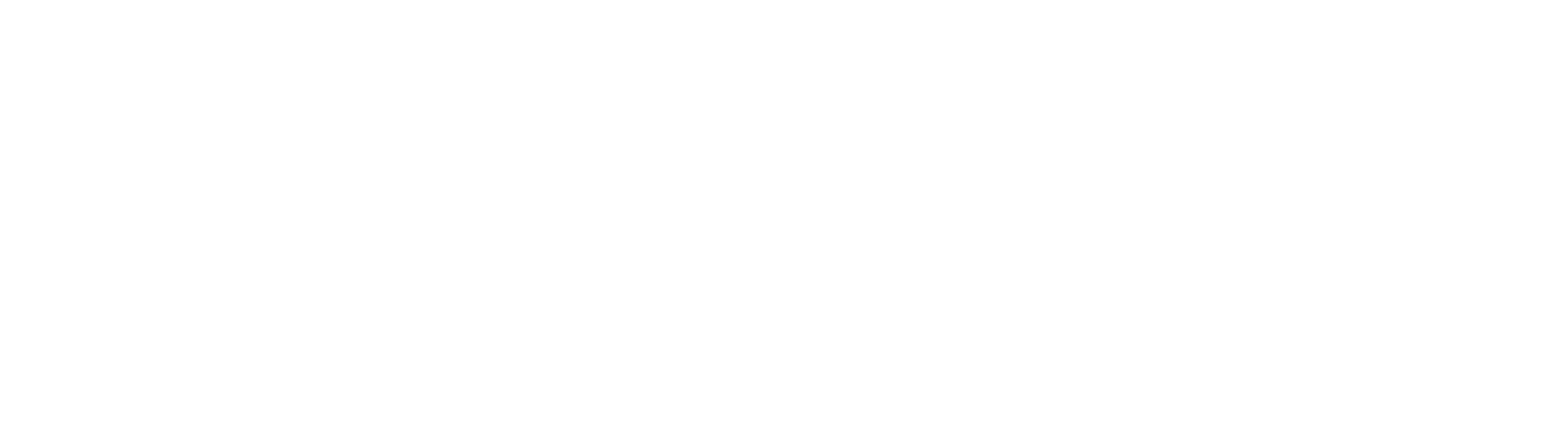 블리트