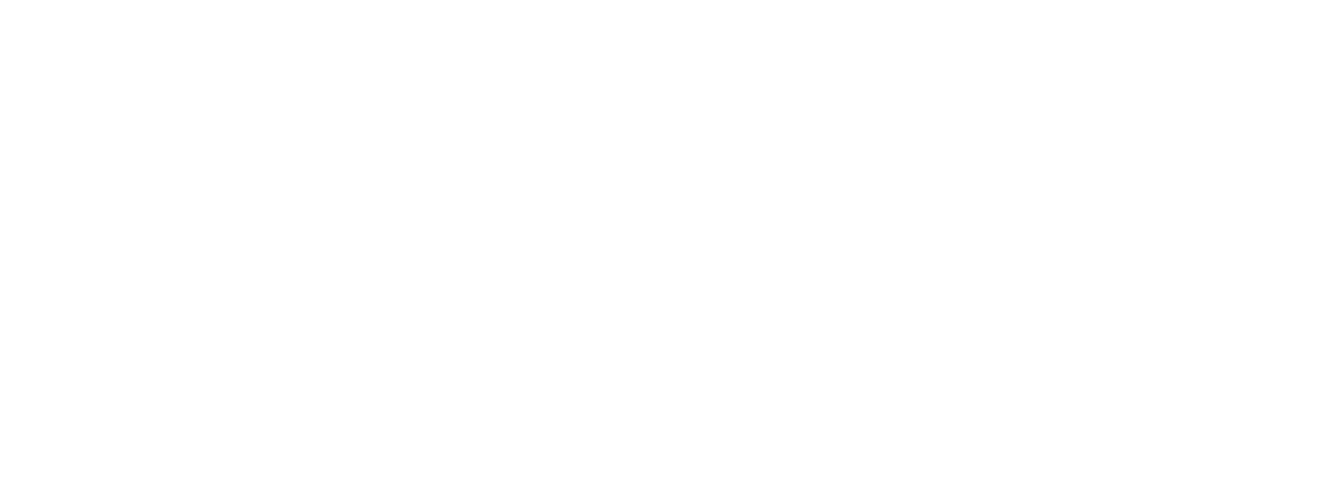 추적자