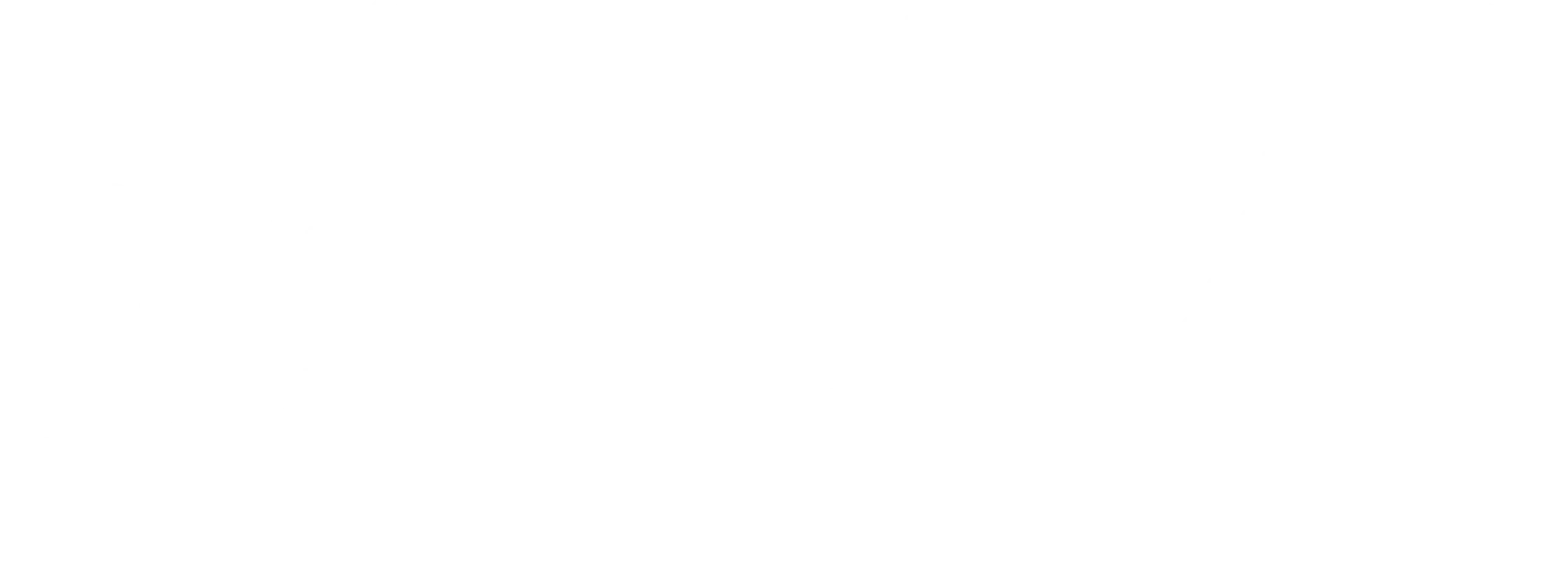 퍼니셔