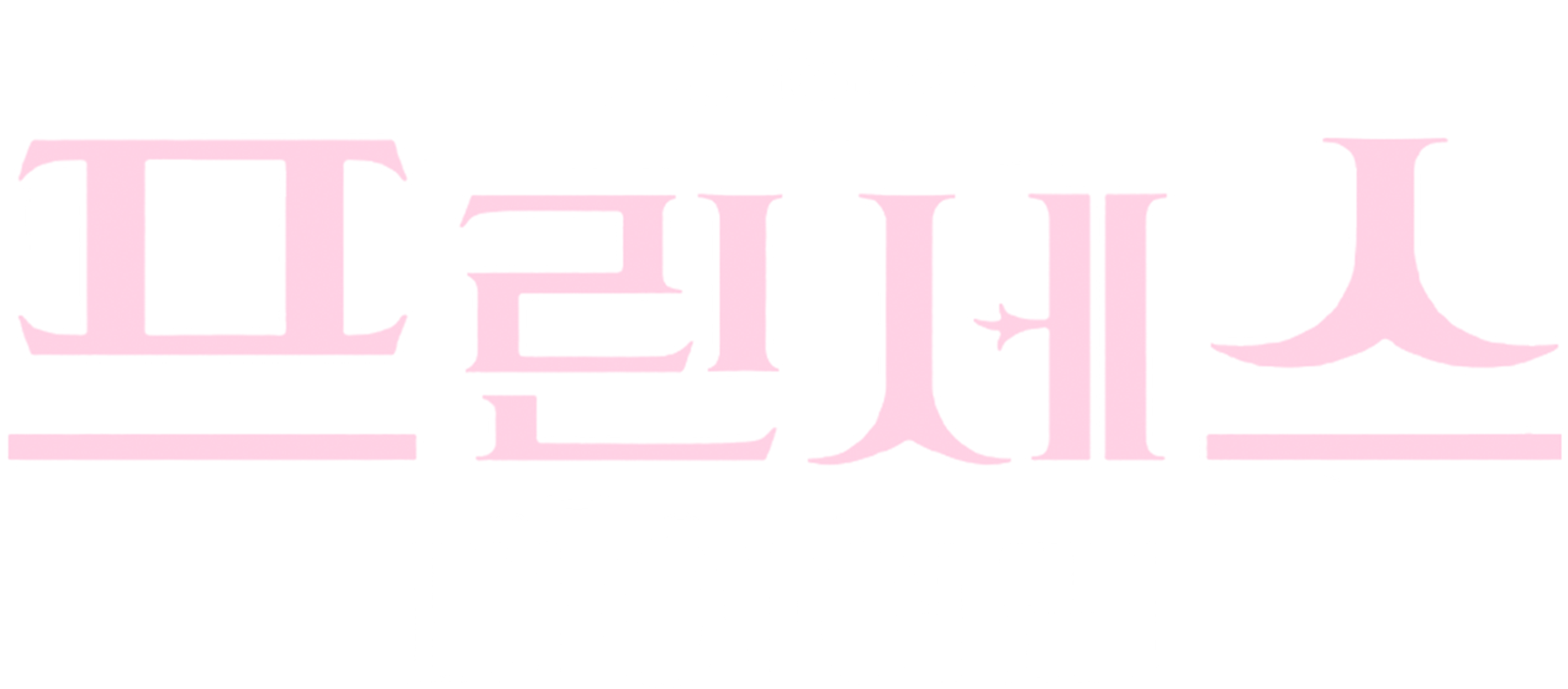 프린세스 다이어리