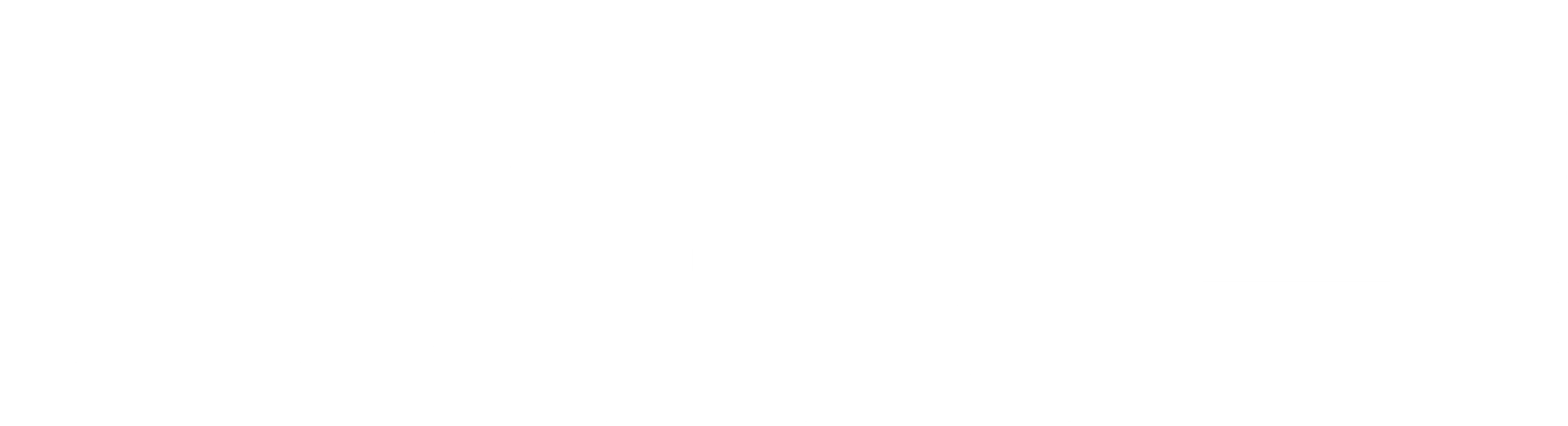쇼퍼홀릭