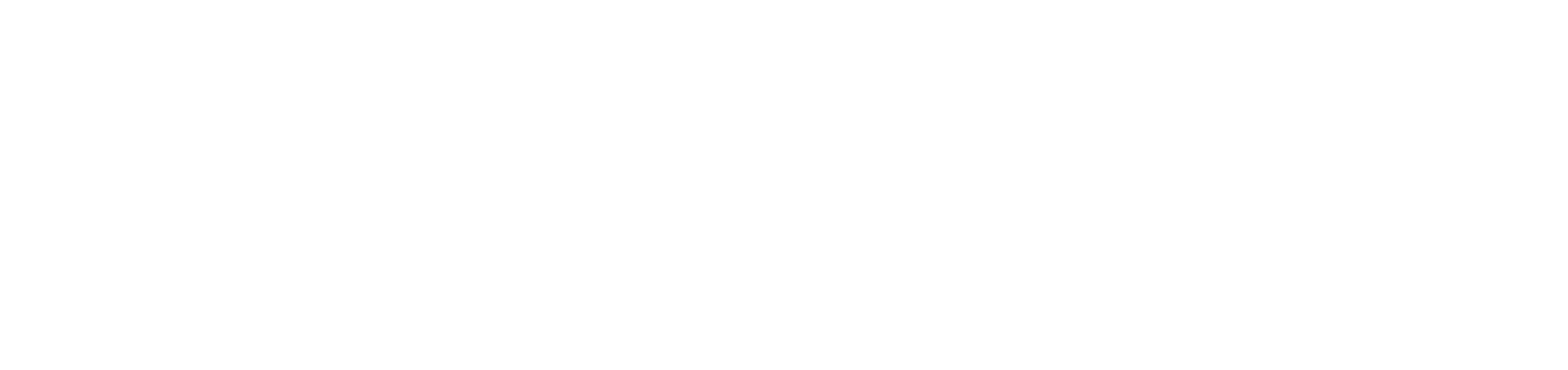 800 블렛